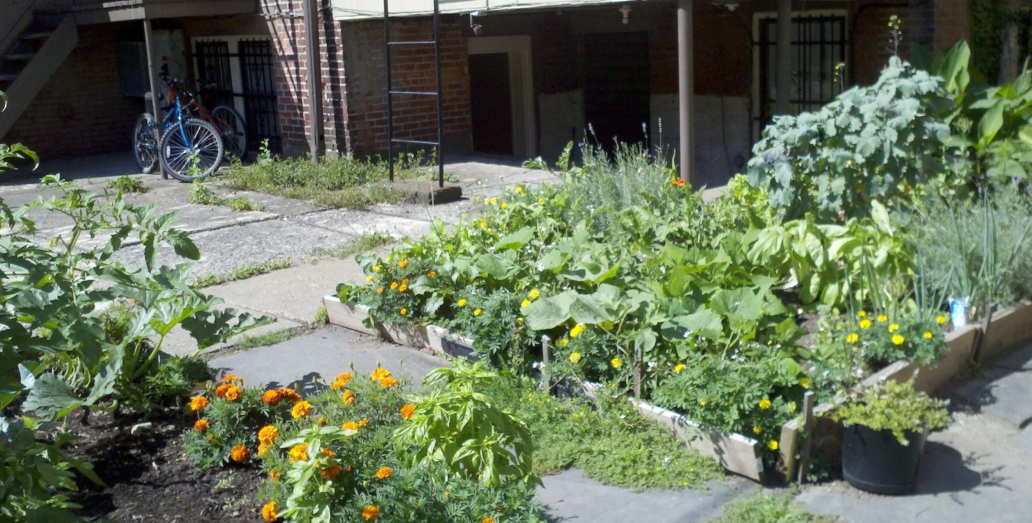 9-12 Garden Veggies.jpg