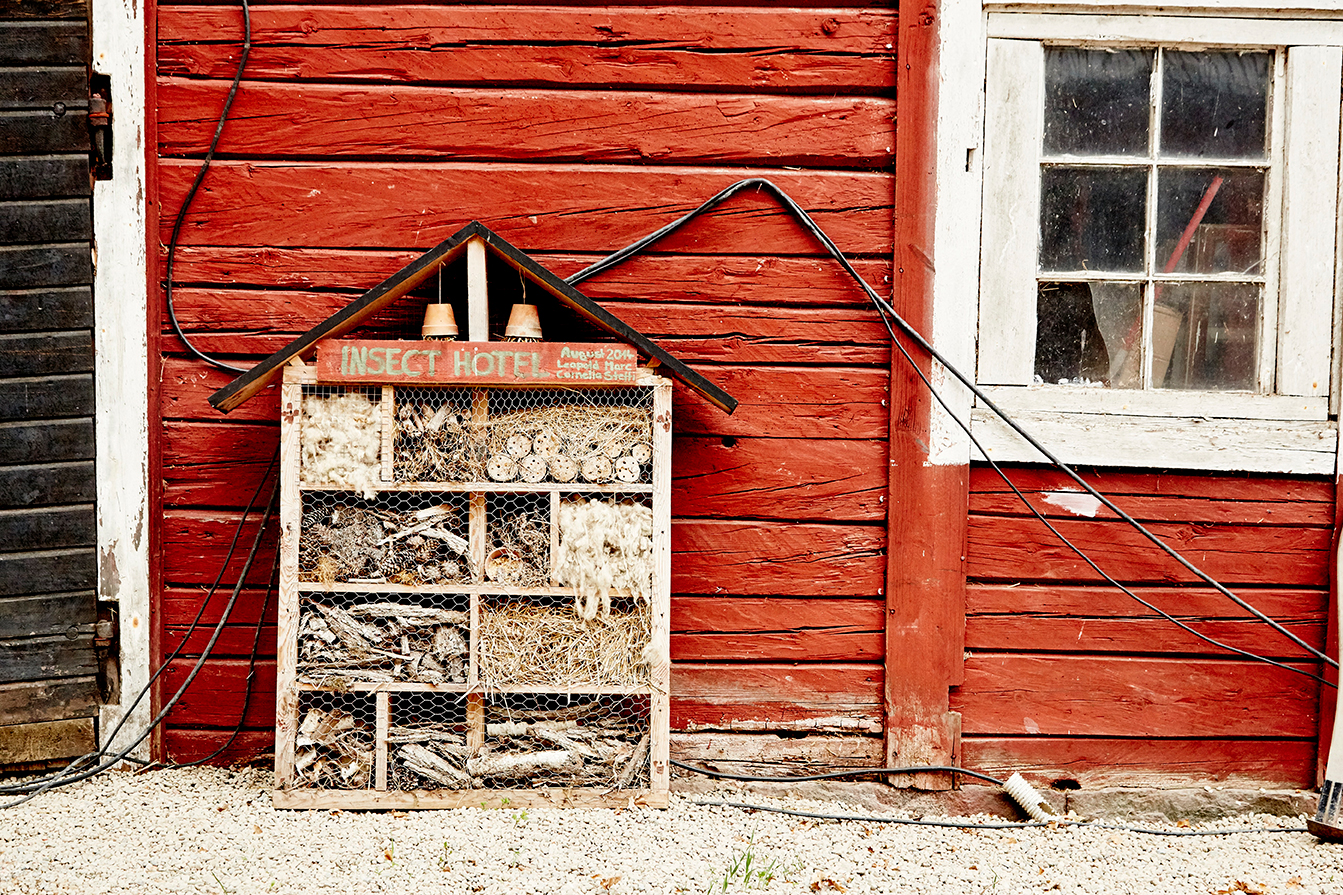 20170727_JPeffley_LindeborgsFarm_17765_trt.jpg