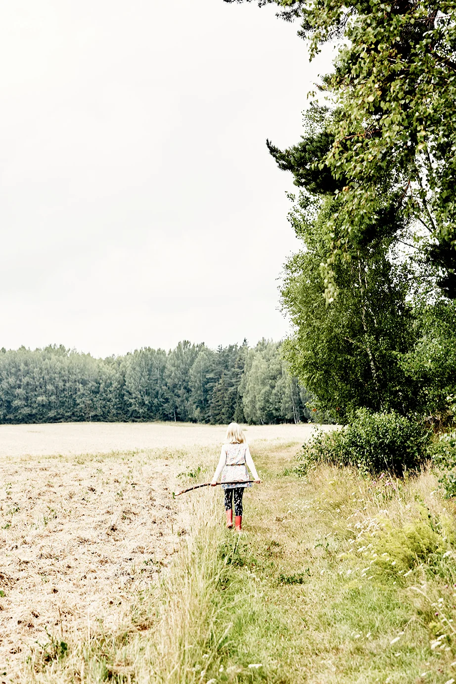 20170728_JPeffley_LindeborgsFarm_179_trt_trt.jpg