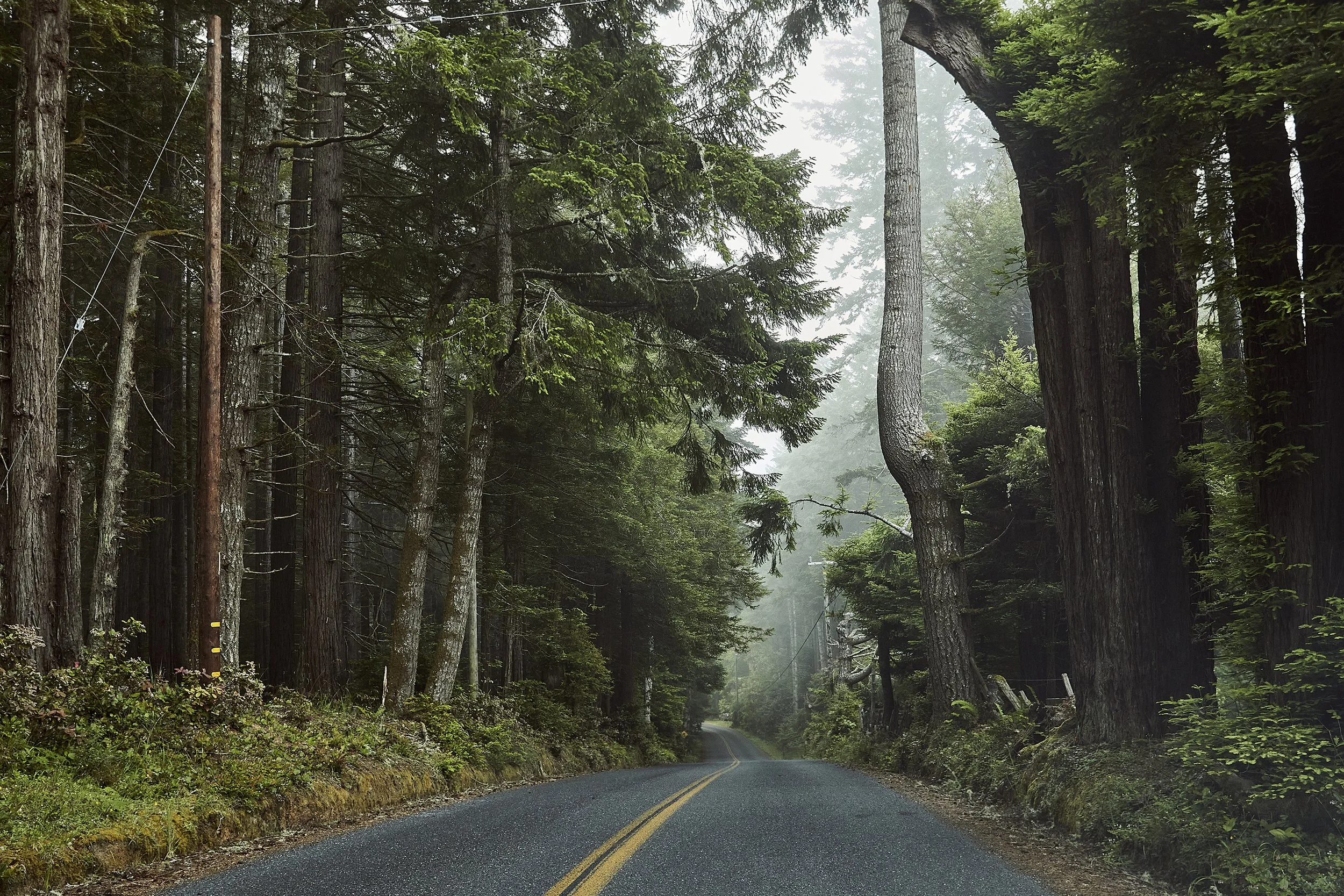 20230612_JennaPeffley_Mendocino_0949.jpg