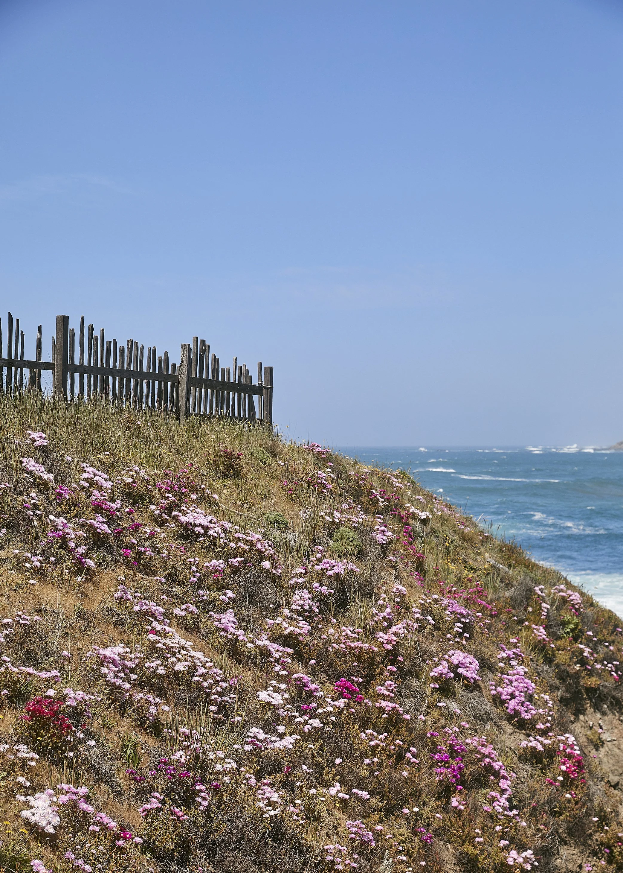 20230612_JennaPeffley_Mendocino_0565.jpg