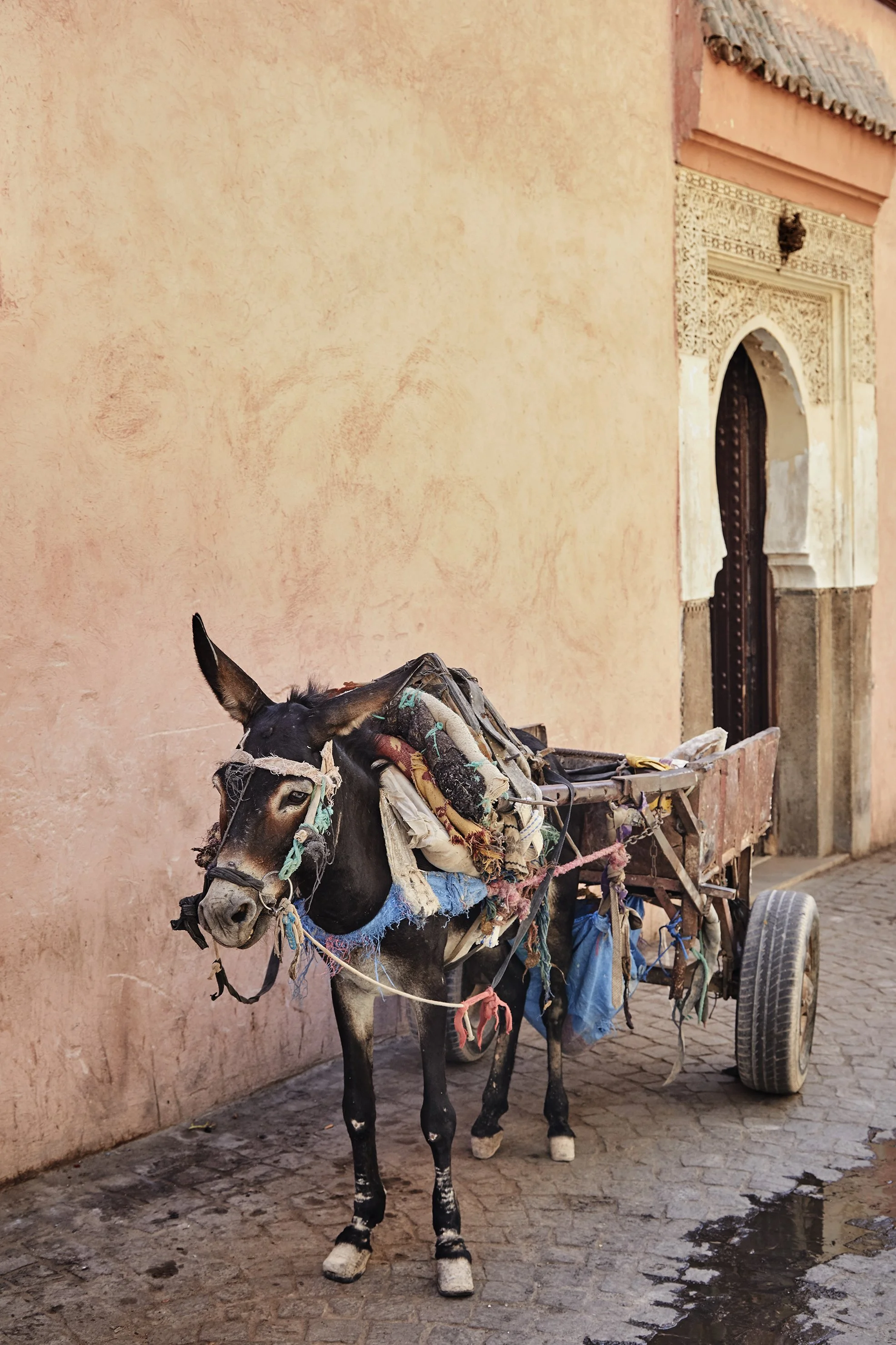 20190819_JennaPeffley_Marrakech_0282.jpg