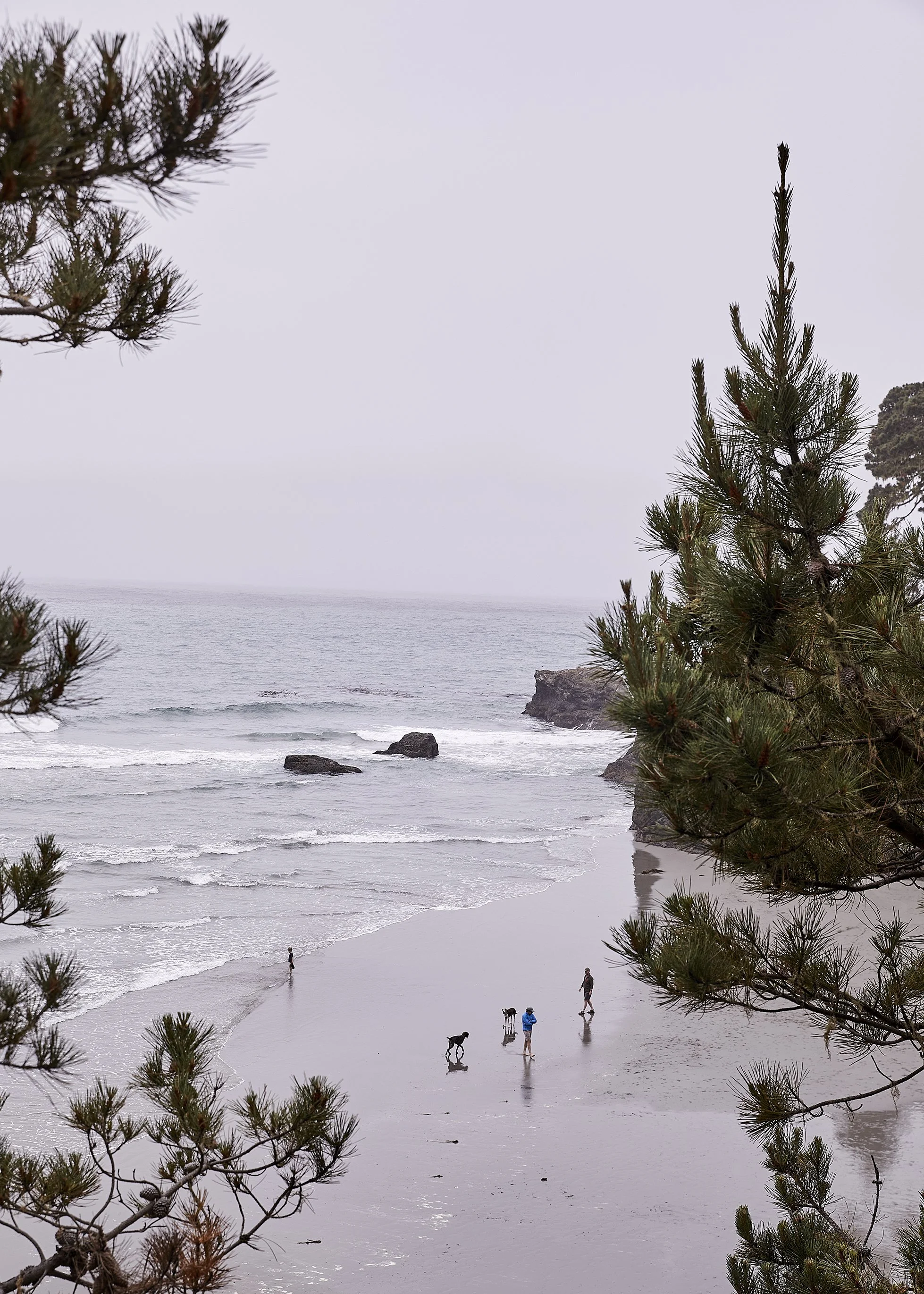 20230612_JennaPeffley_Mendocino_0044.jpg