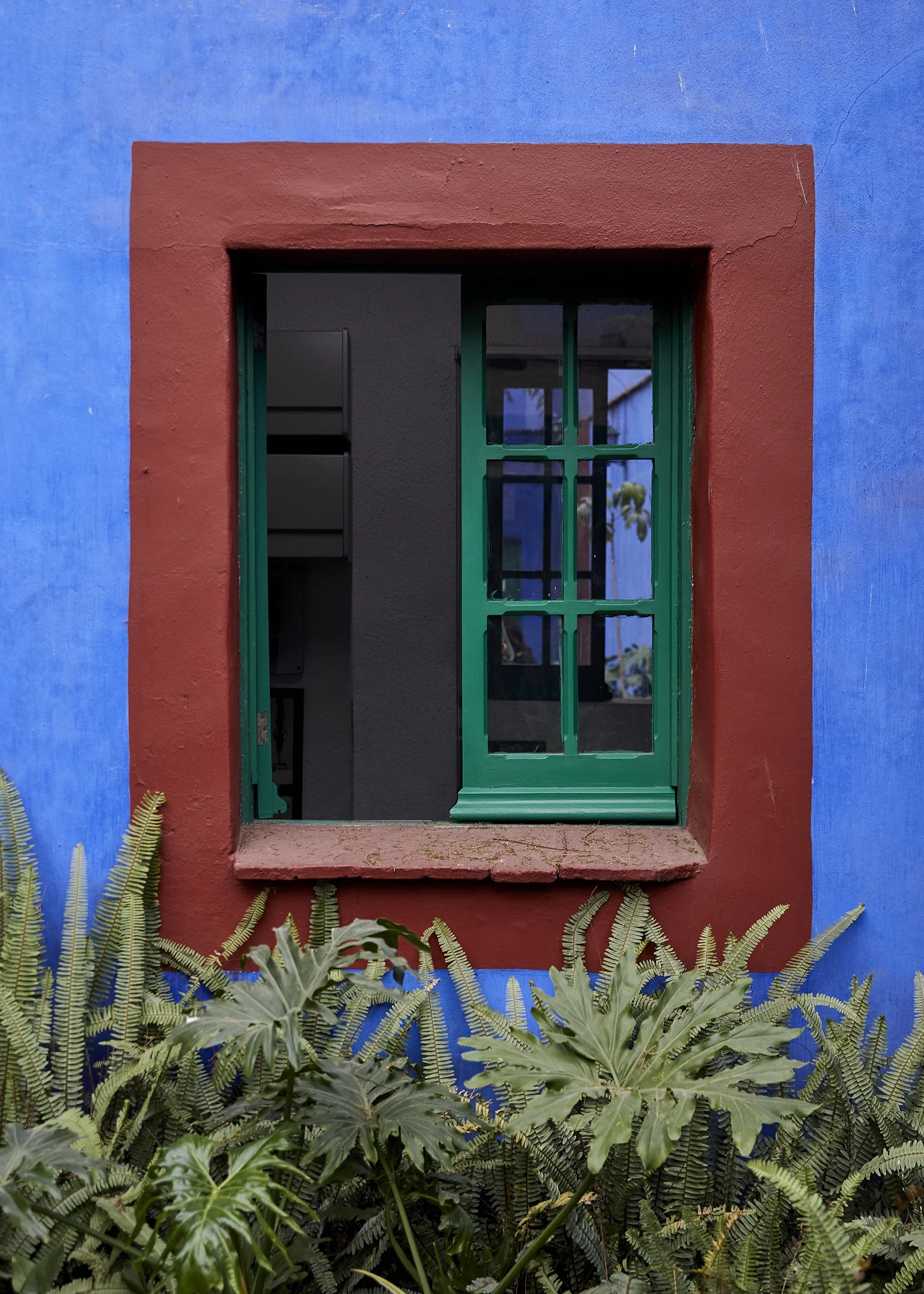 20230208_JennaPeffley_MexicoCity_0191_v2.jpg