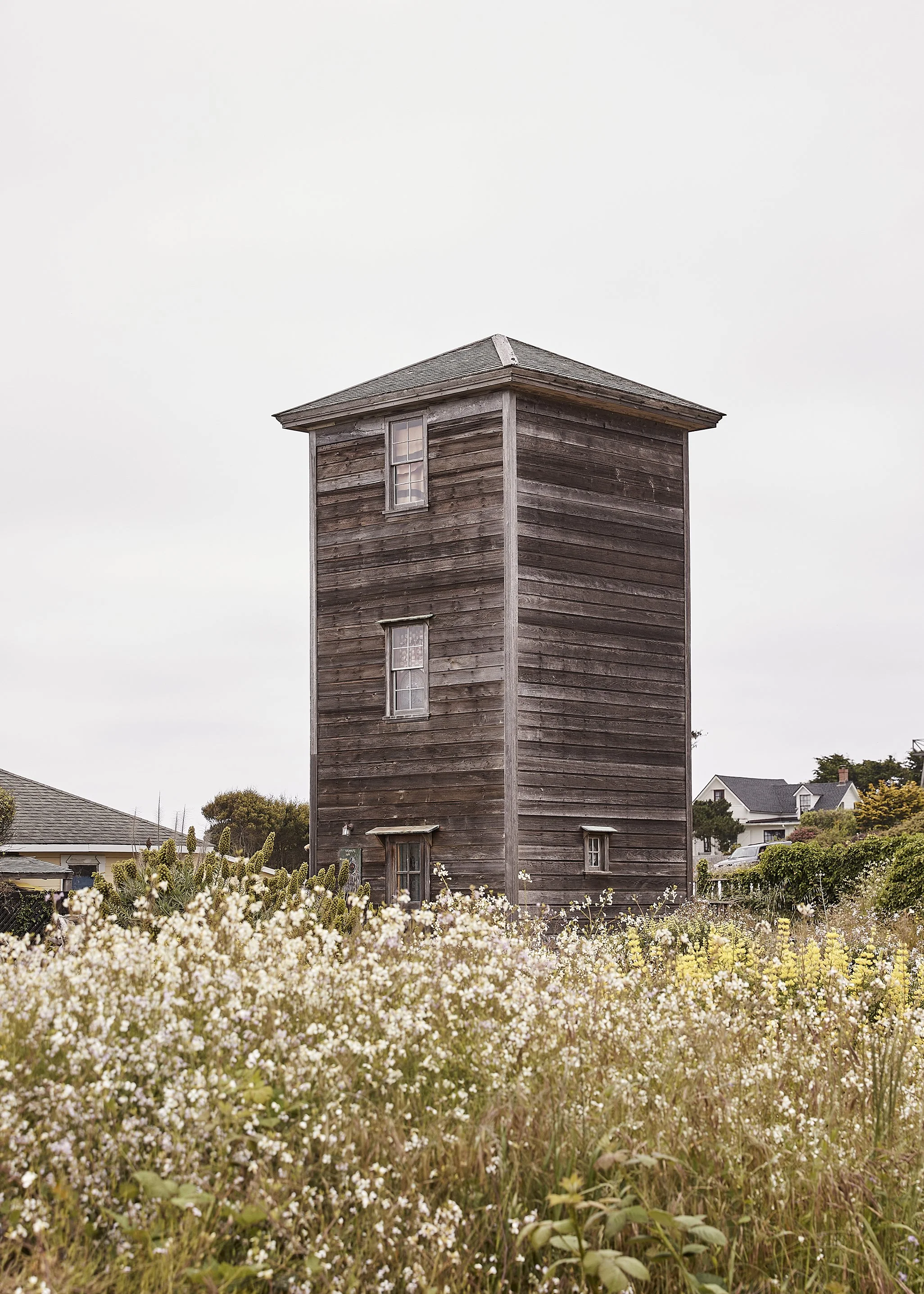 20230612_JennaPeffley_Mendocino_0128.jpg