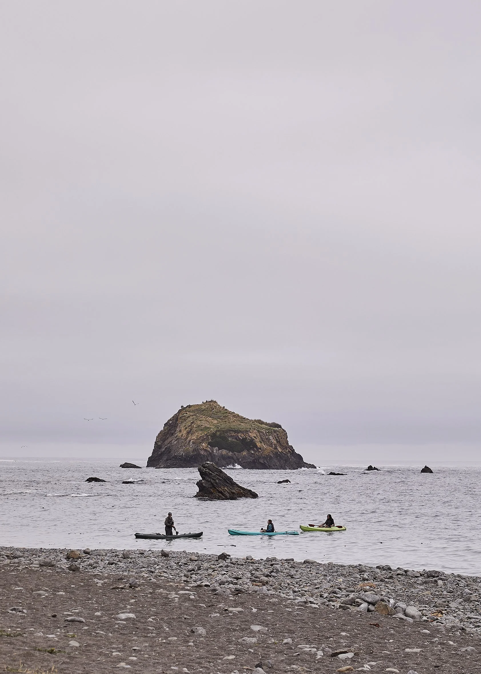 20230612_JennaPeffley_Mendocino_0276.jpg