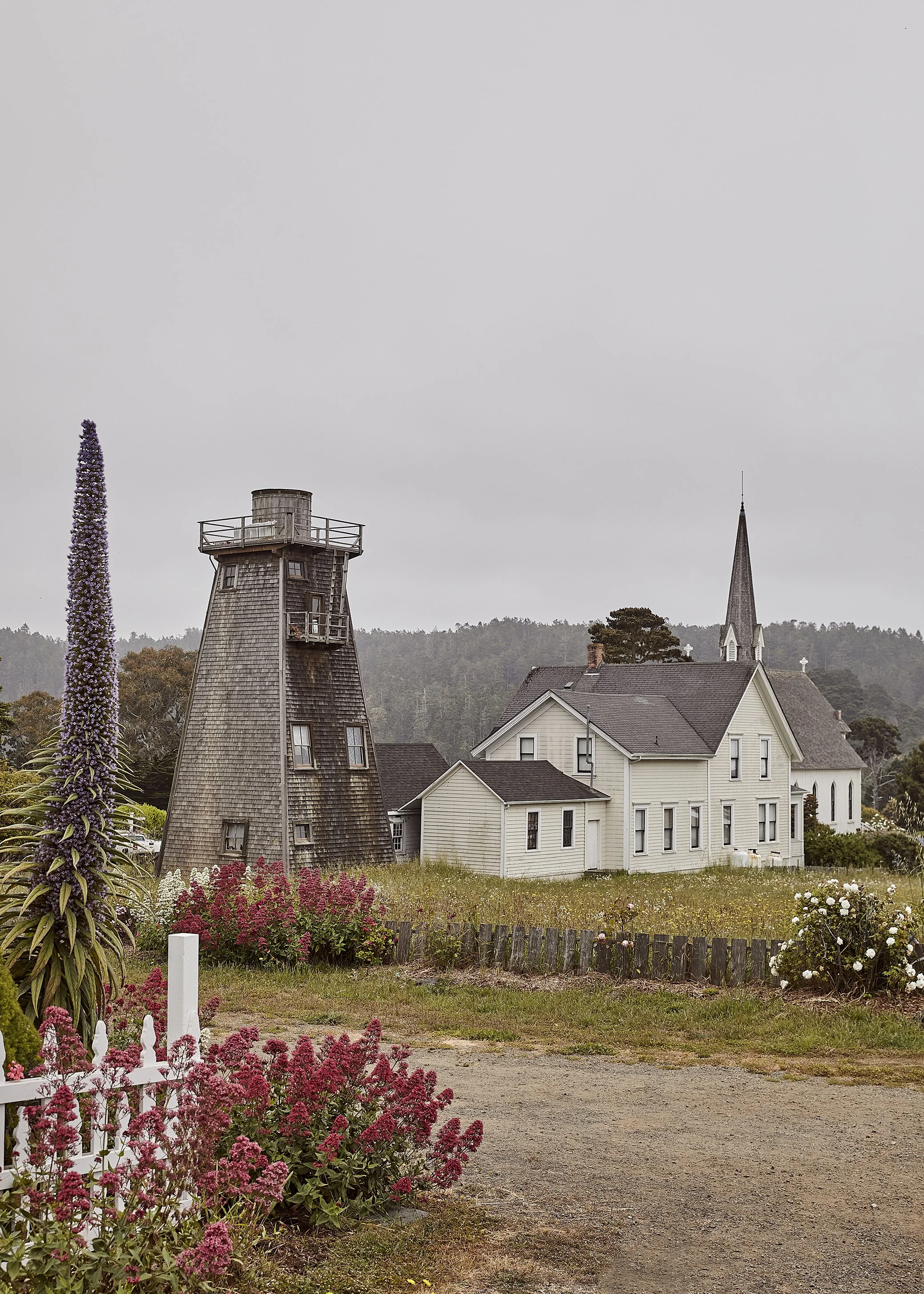 20230612_JennaPeffley_Mendocino_0755.jpg