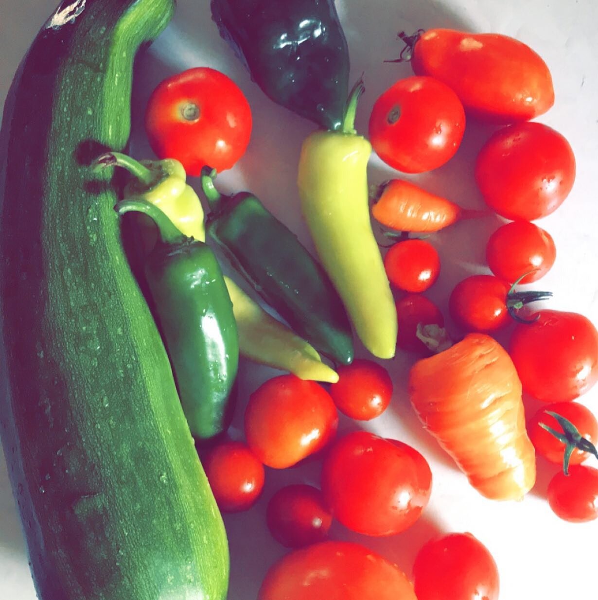 Harvest 😍😍😍 #artdirectorlife #summer #fresh #vegetables