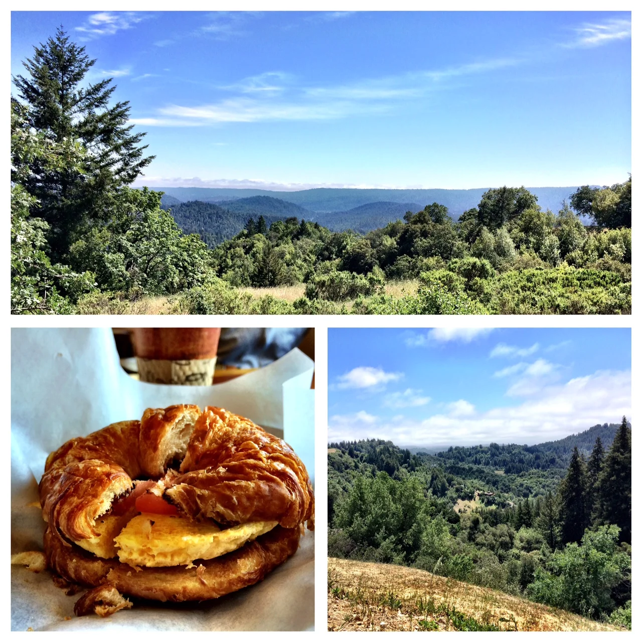 The Importance of Rest