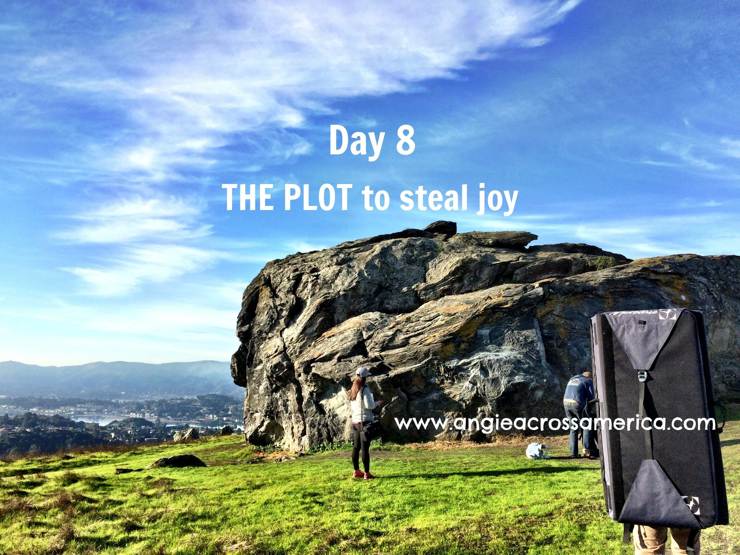 The Plot To Steal Joy: Day 8