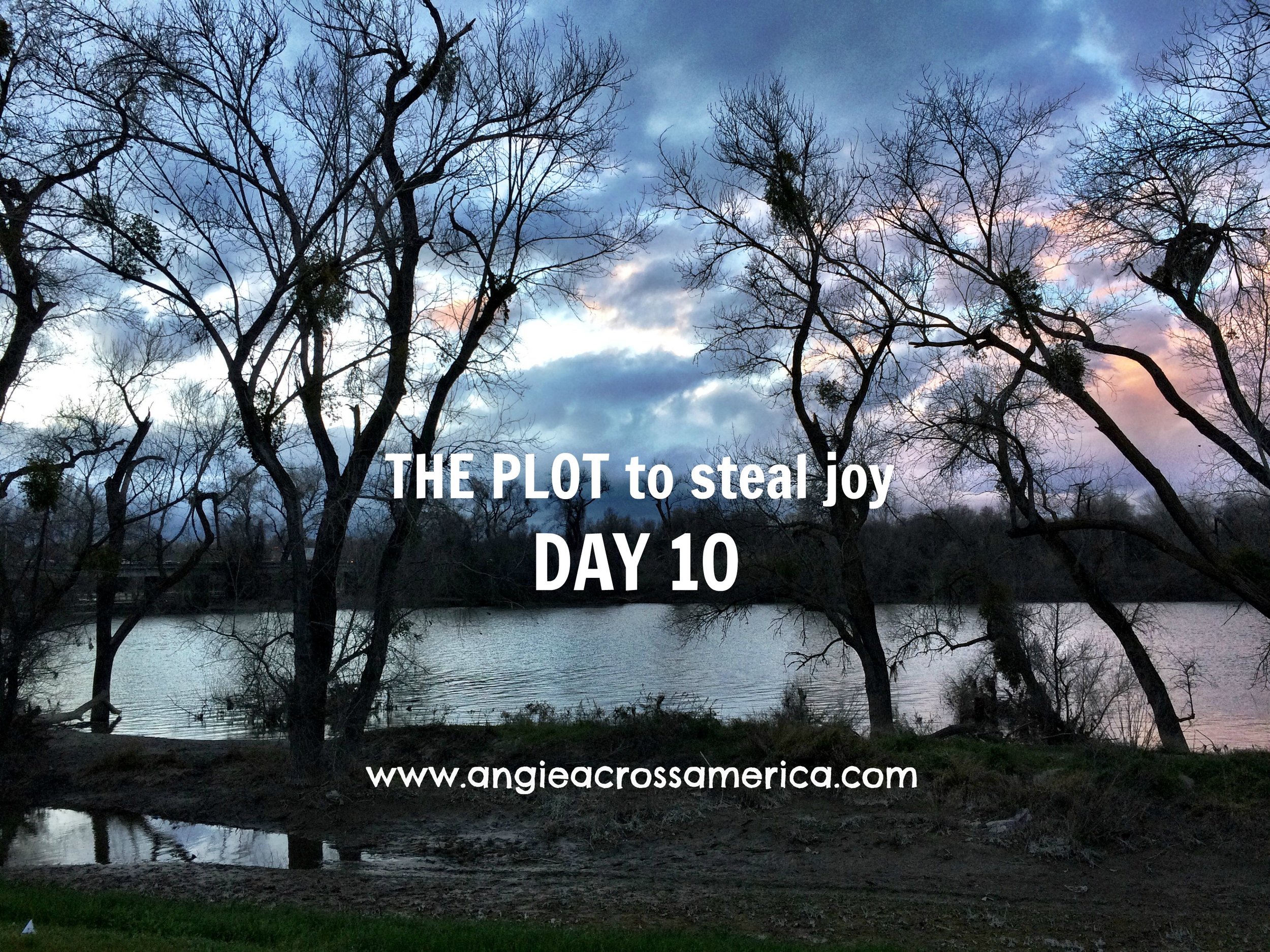 The American River is known for the discovery of gold in 1848 that started the California Gold Rush. Today, the river still has high quality water, and it is the main source of drinking water for Sacramento, the capital of California.