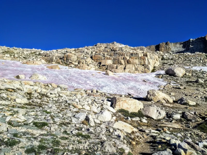 The higher you go, the thinner the air, the colder the temperature; sometimes patches of snow are still evident even in summer, as it was on Mt Langley