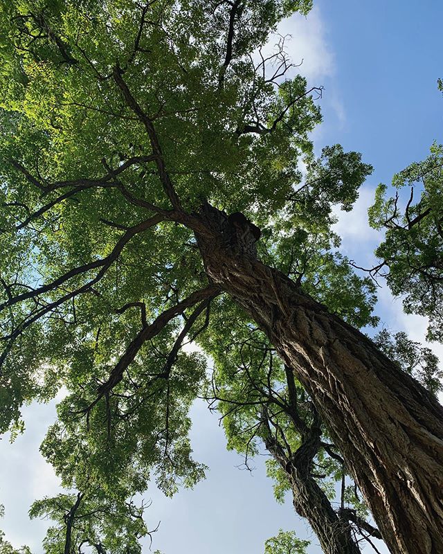 Sunday sanctuary space ✨
&ldquo;You are worth the quiet moment, you are worth the deeper breath, you are worth the time it takes to be still, slow down and rest&rdquo; - @morganharpernichols 
#rest #yoga #fromthemat #nature #sabbath #soulcare #bestil