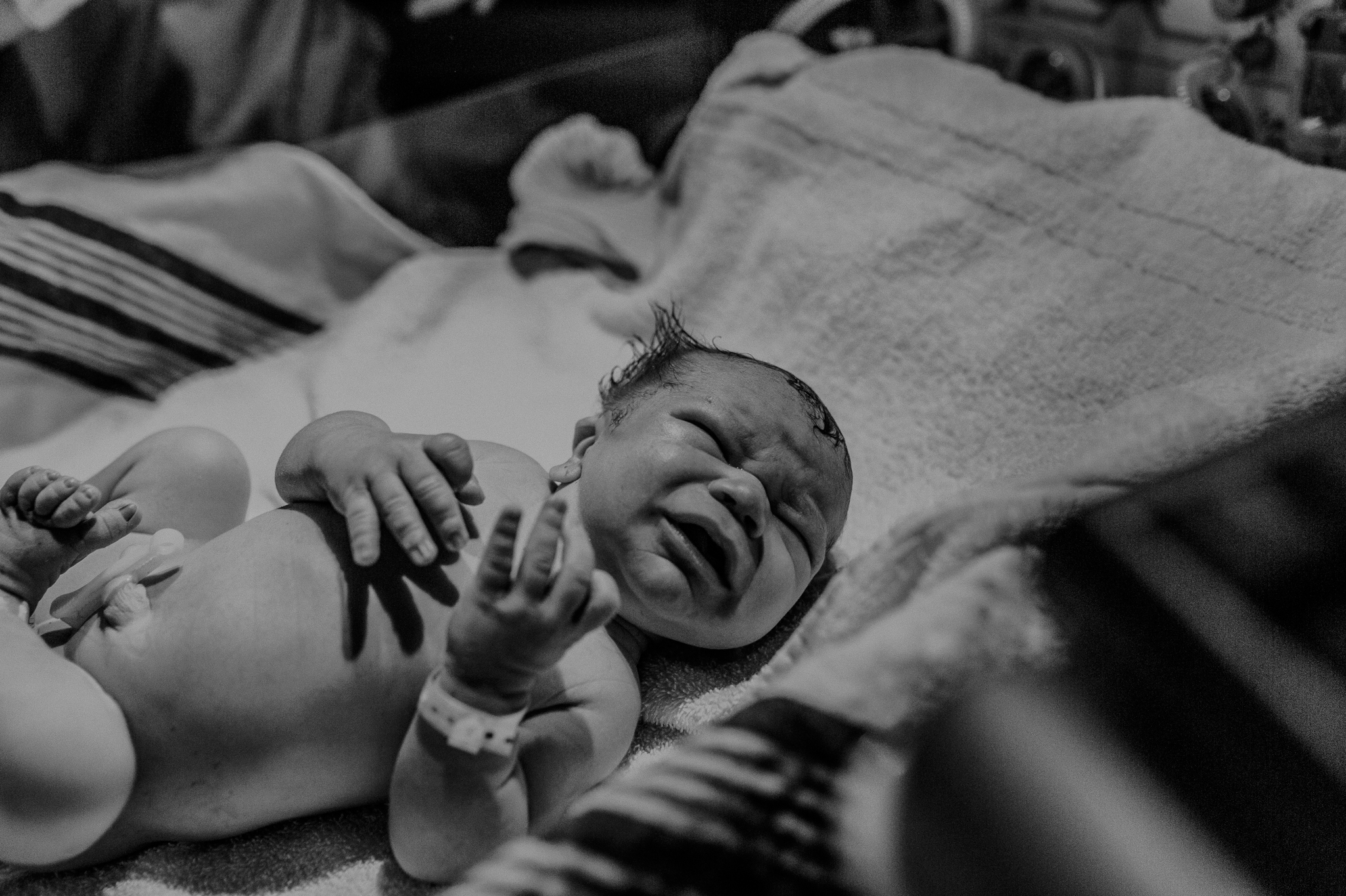Dominic71238.jpg