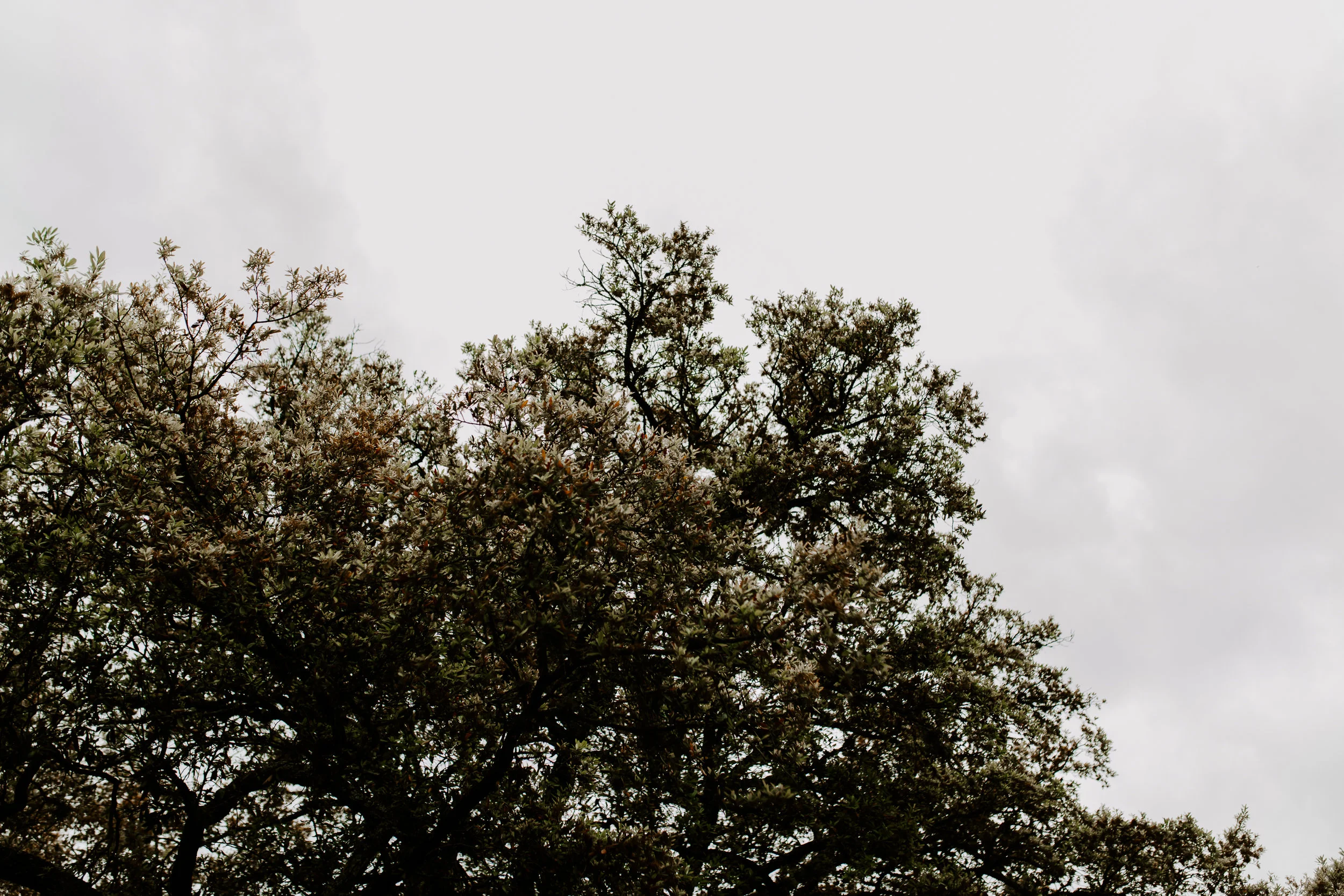 day2-13.jpg
