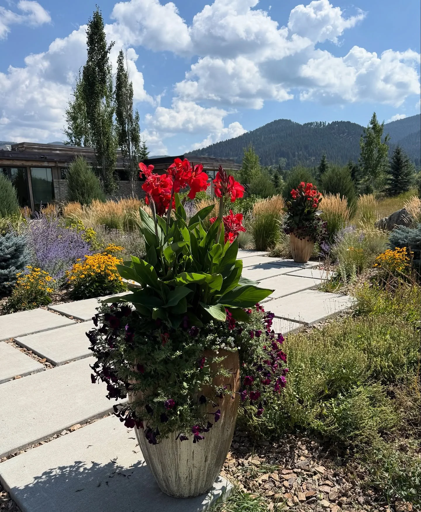 It was a colorful Summer, hard to say goodbye. Fall is here and Winter is coming. 

#flowers #thunderstorms #tippetrise #lakes #hikes #bikes #weddings #arizona #nyc  #canada #patio #lifestyle #installs #showrooms #lotsofwork #interiordesign #montana 