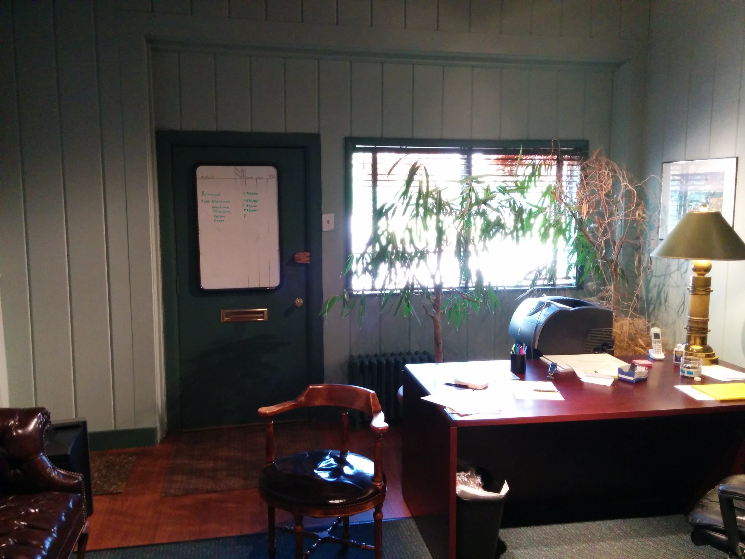 Office toward window.jpg