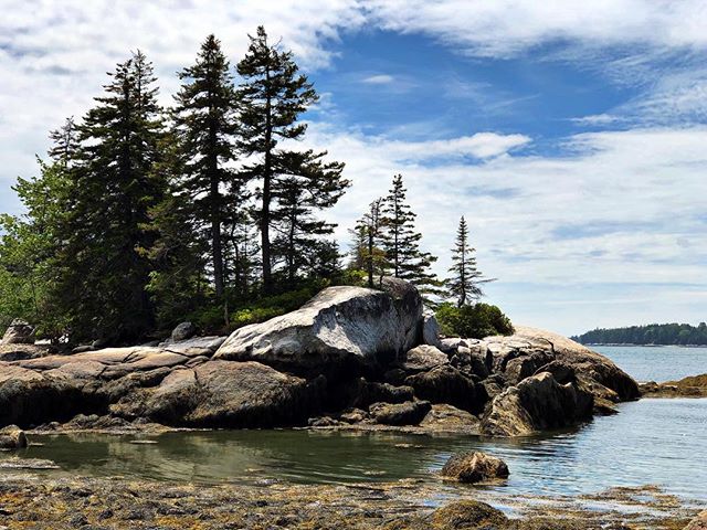 Mid-Week Adventure: hiking the rocks at low tide to discover some creatures that are normally hidden by the sea or having a picnic on the rocks as you watch the tide come and go

PC: Goes to @julie_norman_beachcomber who captured this picture just a 