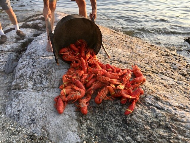 Evening Lobster Bake 