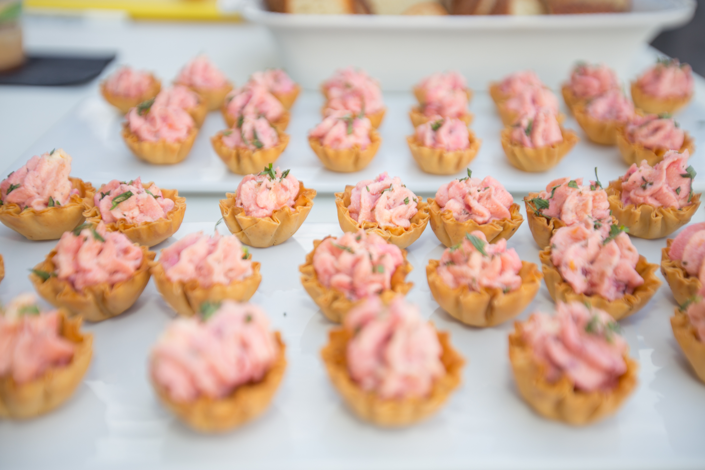 curet photography-33.jpg