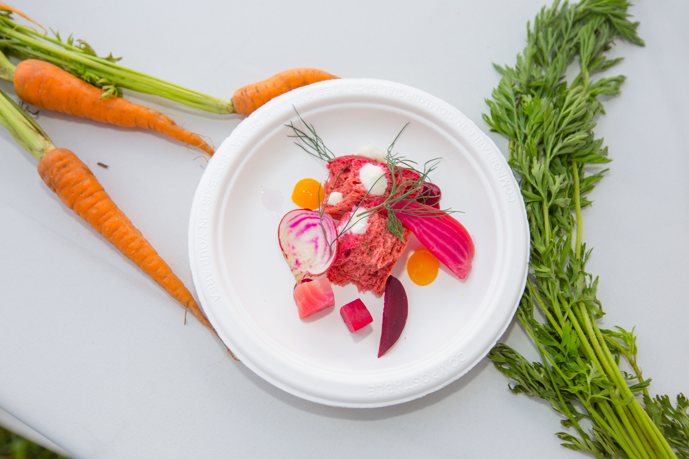 curet photography-24.jpg