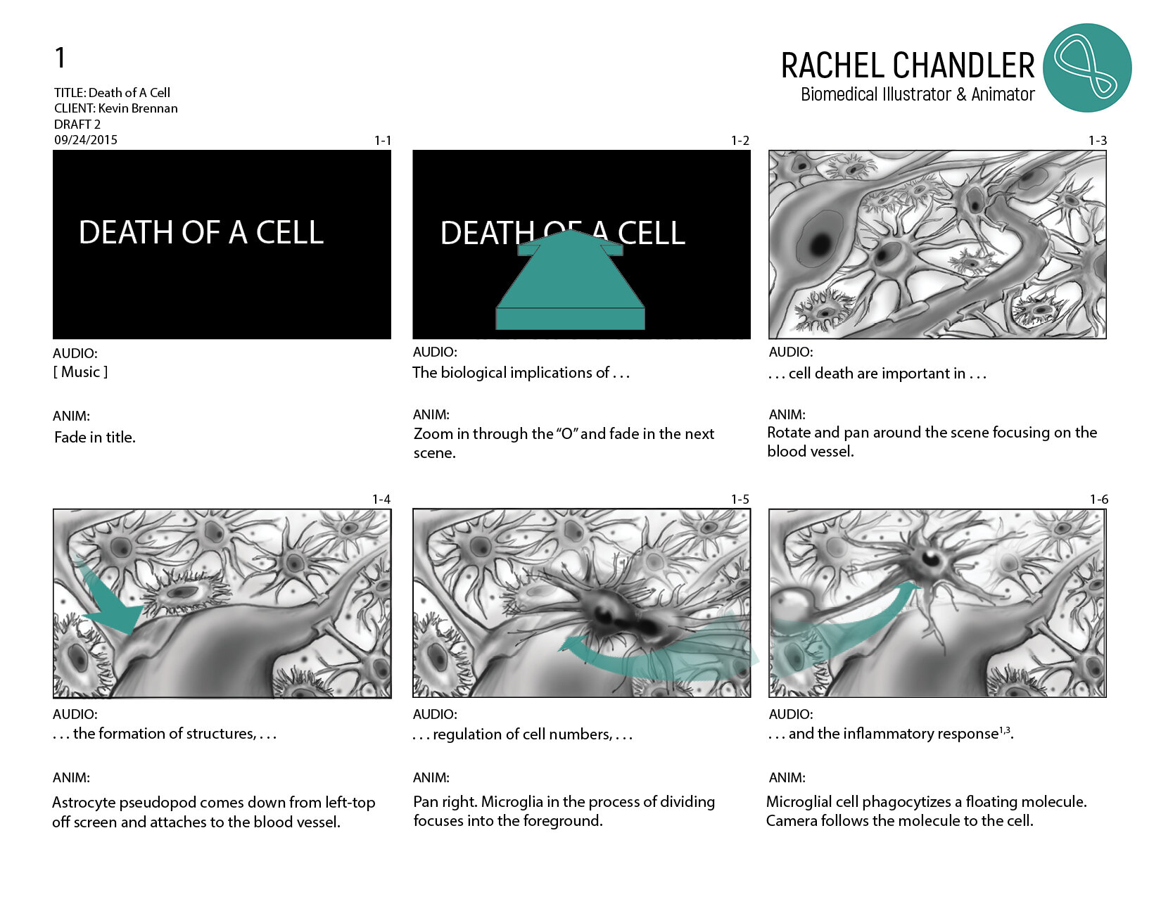 Apoptosis_Storyboard_Final.jpg