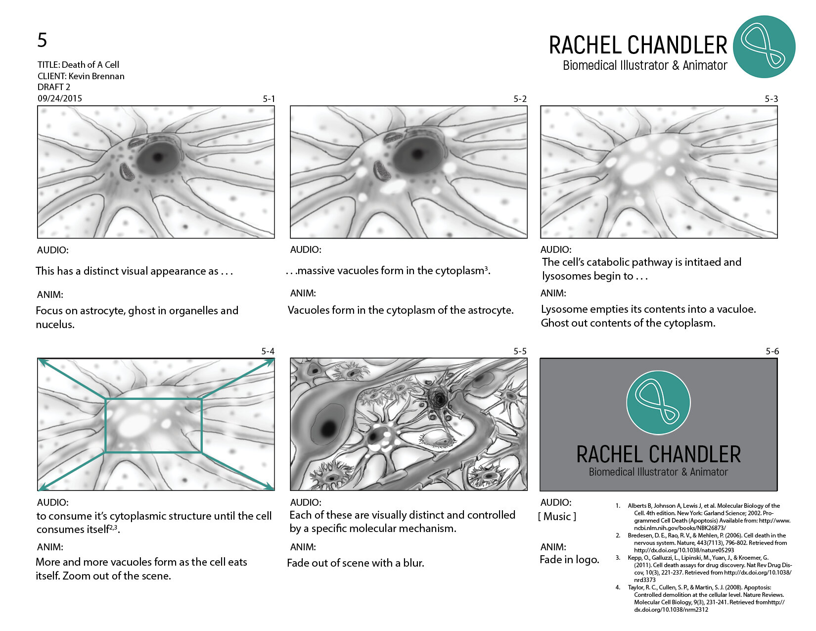 Apoptosis_Storyboard_Final5.jpg