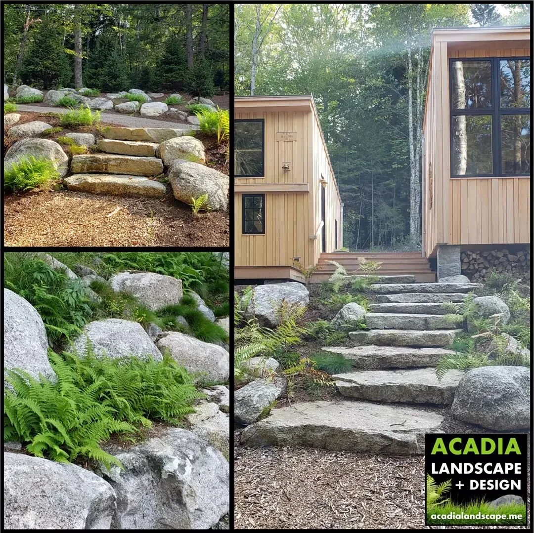 Recently completed this Long Pond residence landscape  incorporating boulders retainers, granite slab steps, and native plantings to blend in with it's natural setting.

#nativeplants #granite #boulders #stonesteps #rewilding #mountdesertisland #long