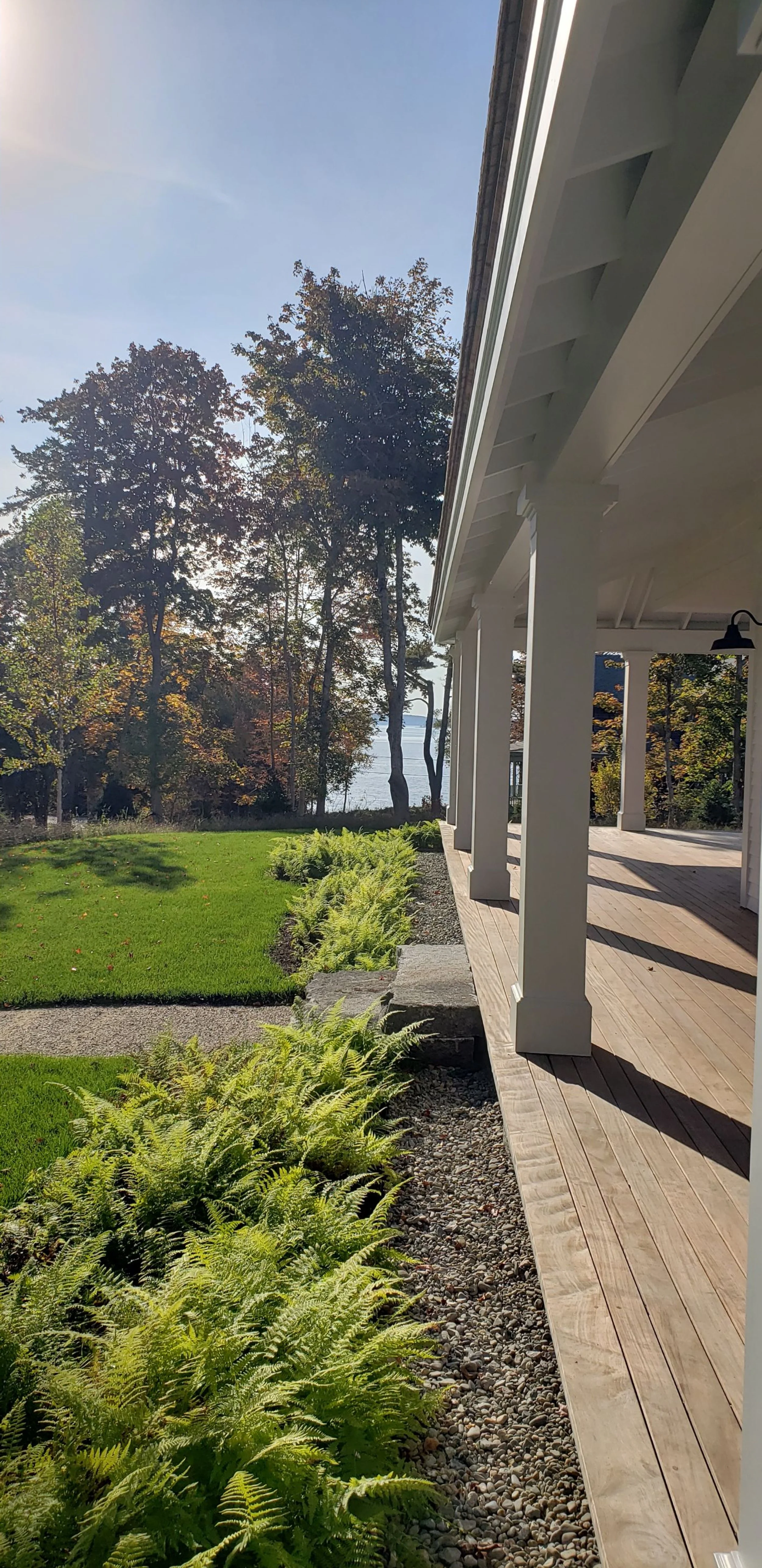 Ferns along the covered porch