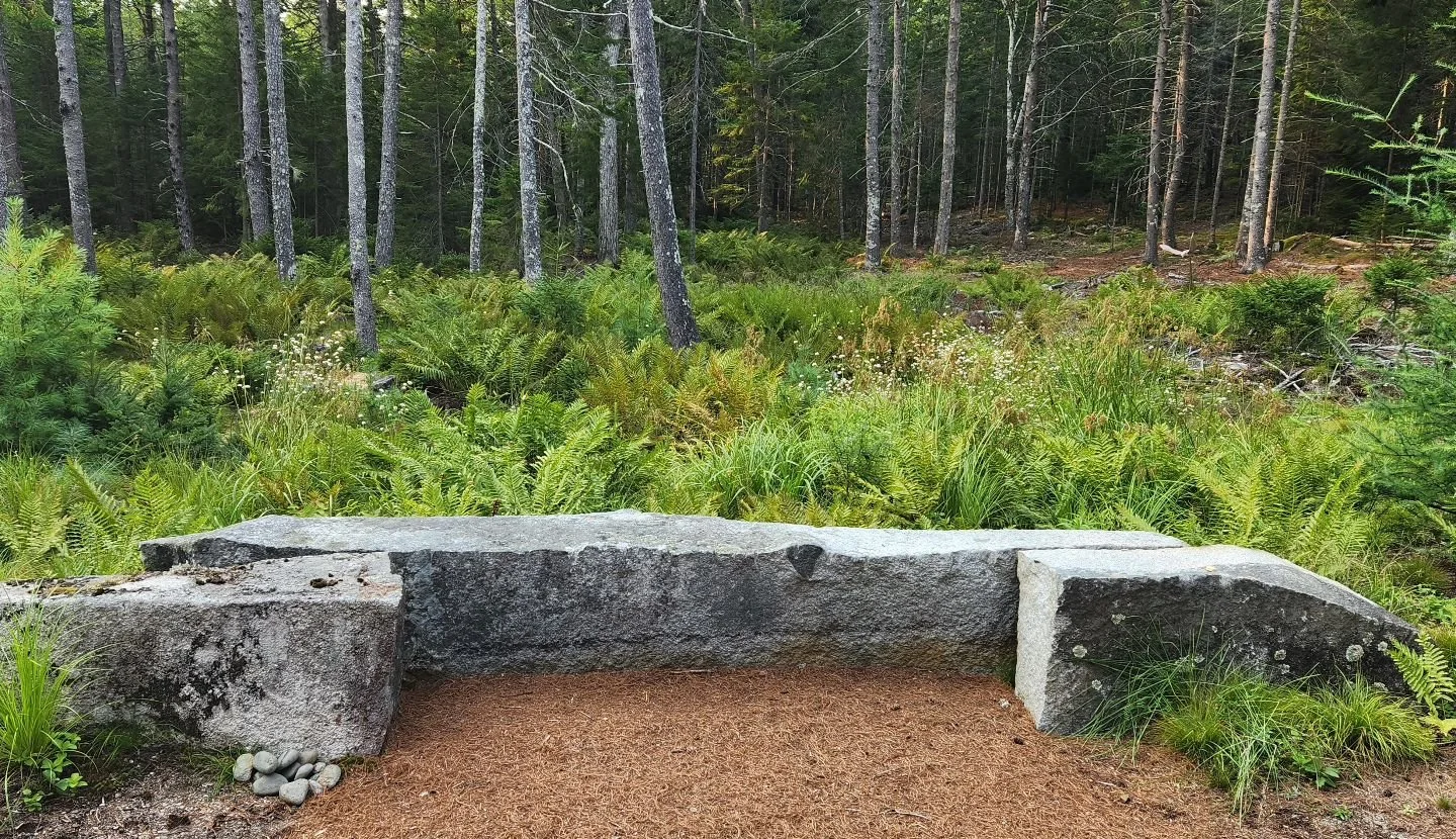 Large granite sculptural piece set as a bench to frame the renaturalized landscape that was once a gravel access way during construction.

#naturallandscape #granite #bench #sculpture #rewild #nativeplants  #mountdesertisland #acadia #maine @acadiala