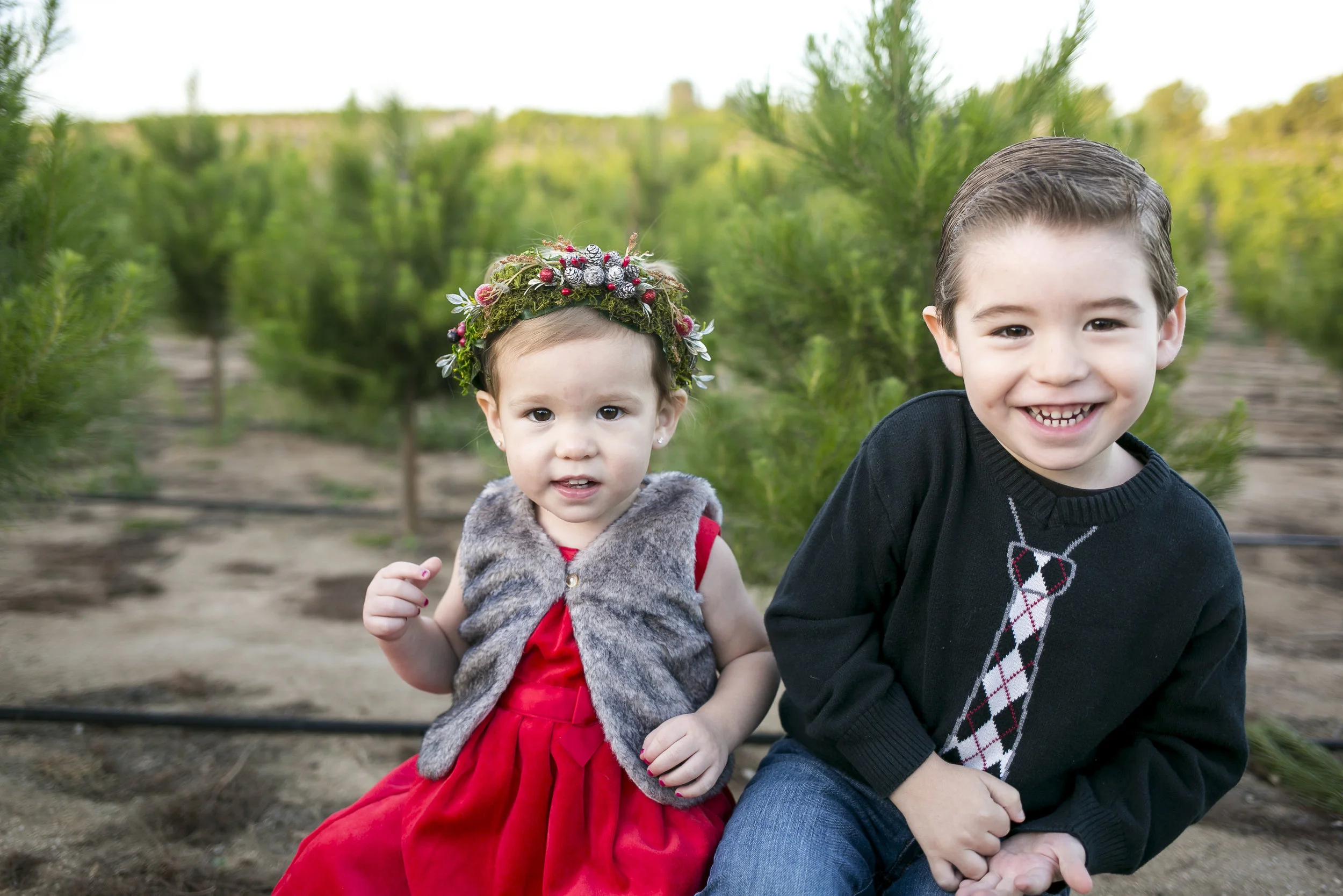 The Cirigliano Family