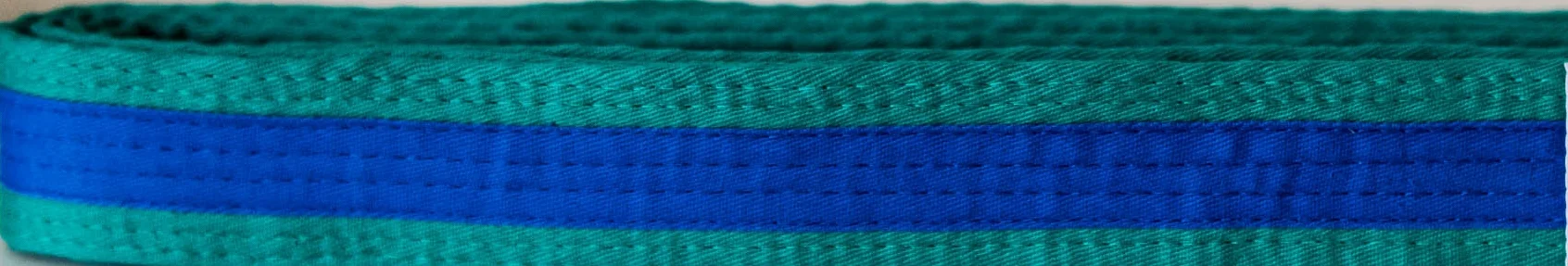 TaeKwonDo Belts_layflat-10.jpg
