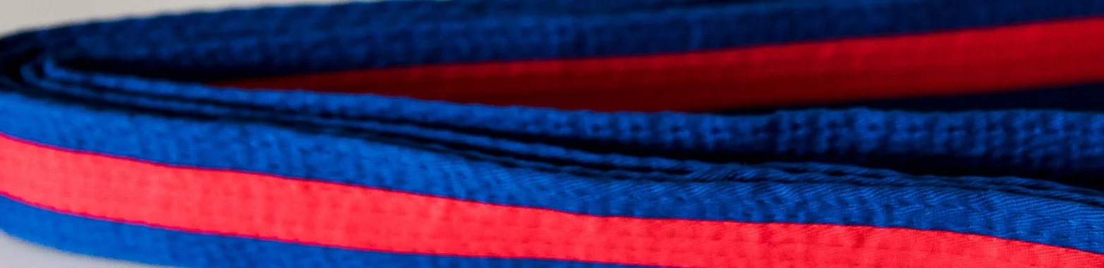 TaeKwonDo Belts_layflat-14.jpg