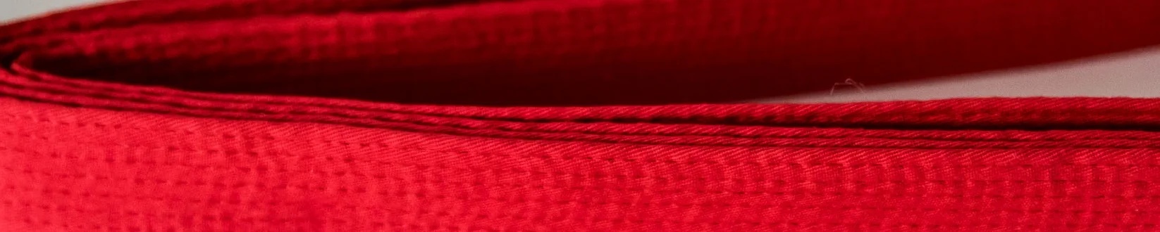 TaeKwonDo Belts_layflat-16.jpg