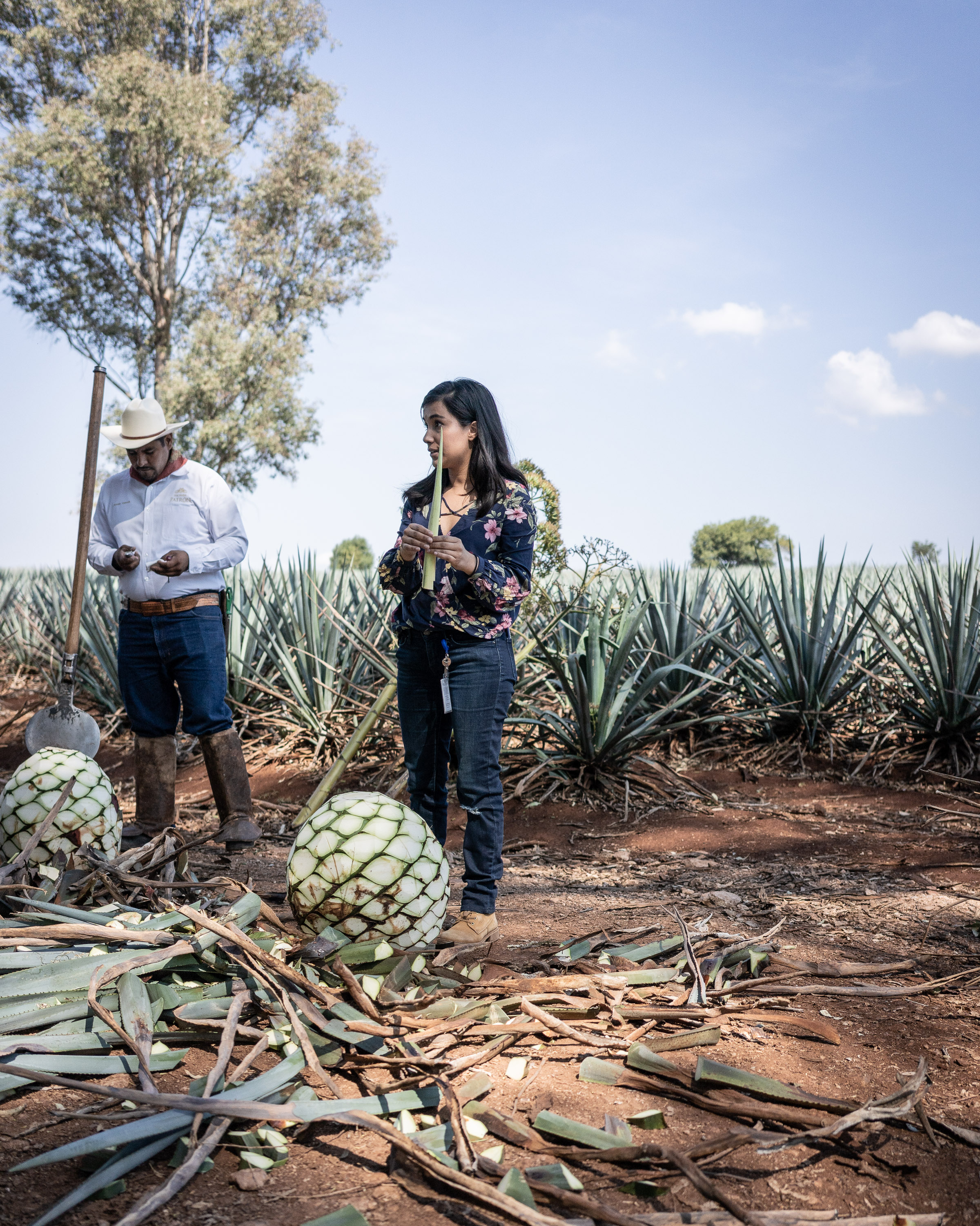 La Casona_Hacienda Patrón-88.jpg