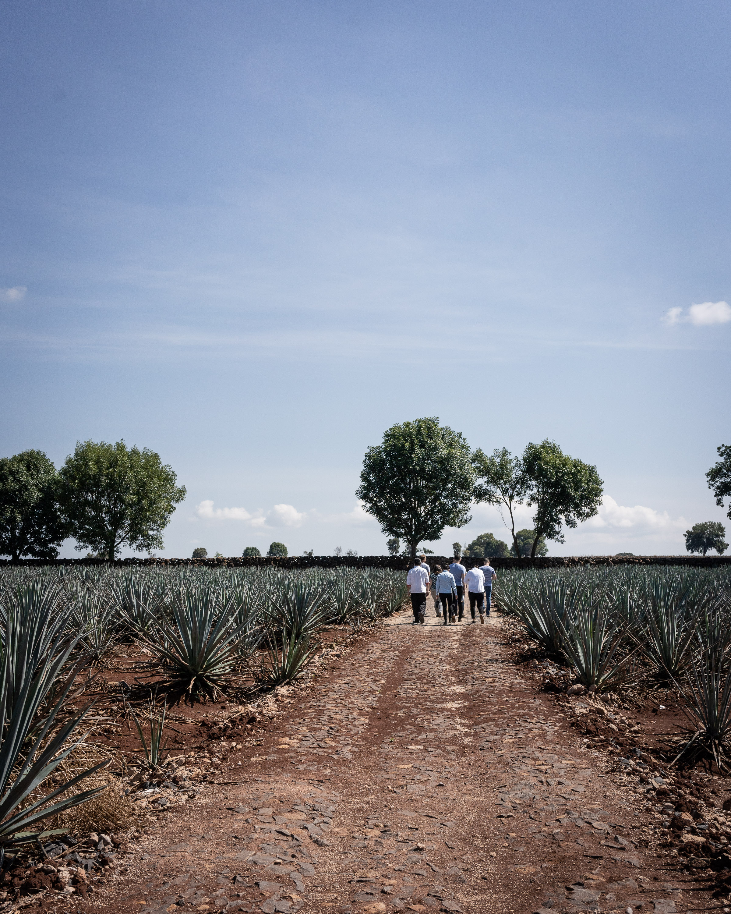 La Casona_Hacienda Patrón-102.jpg