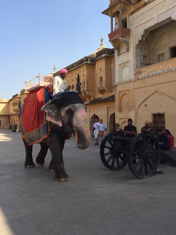 Jaipur_Amer_Fort.jpg