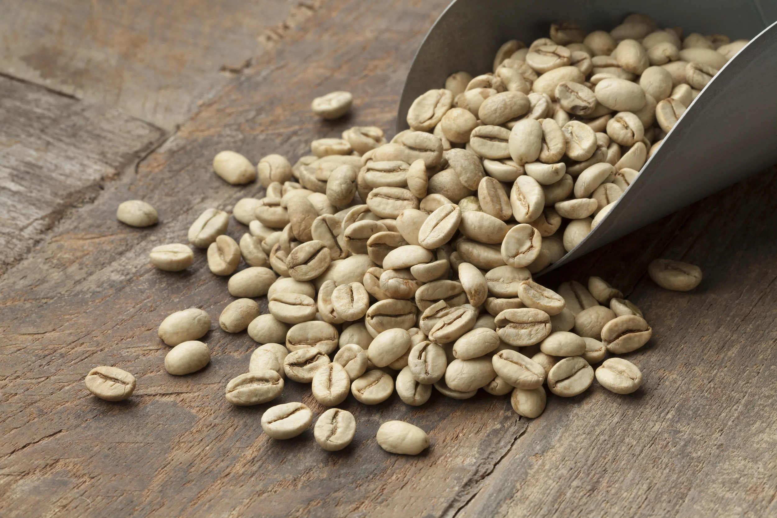 beanz.jpg