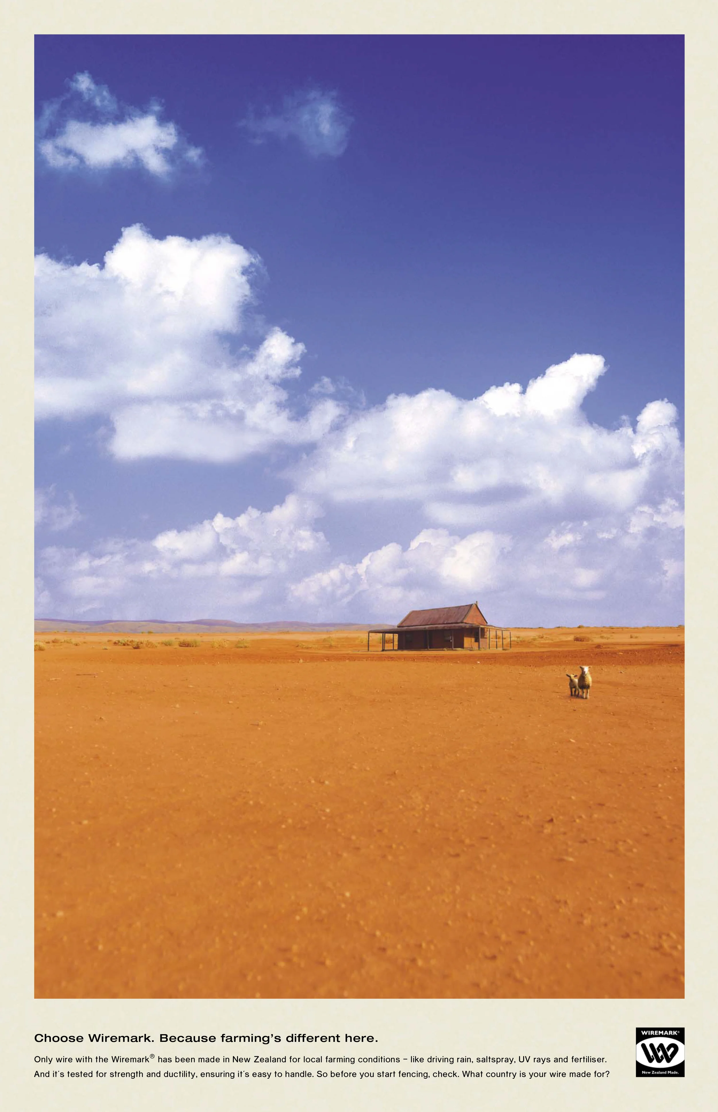 PAC 2871 400x259.5 Croc TD-1c.jpg