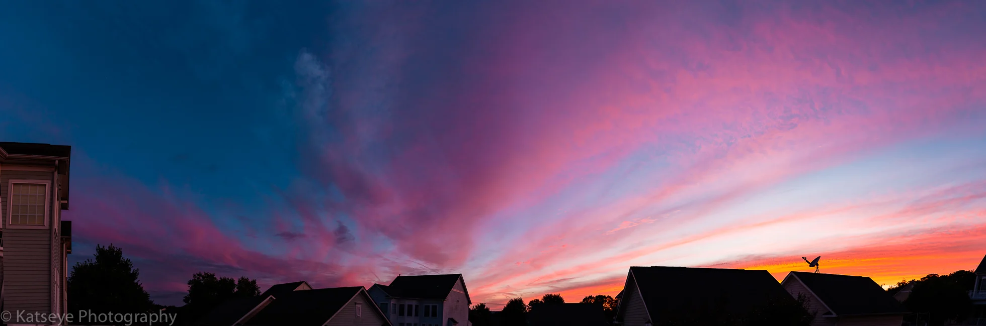 Backyard.jpg