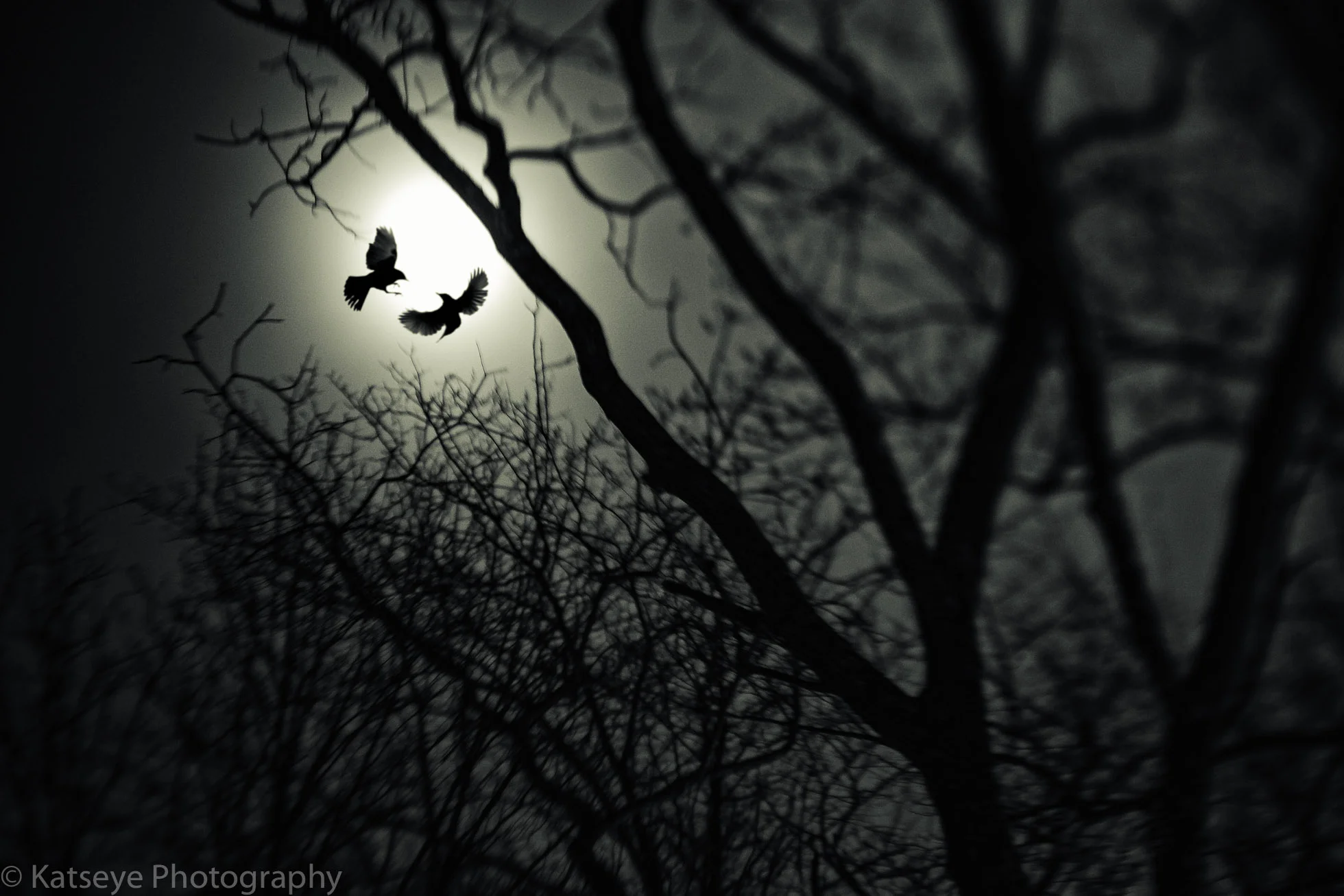PC110150-Edit-Edit.jpg