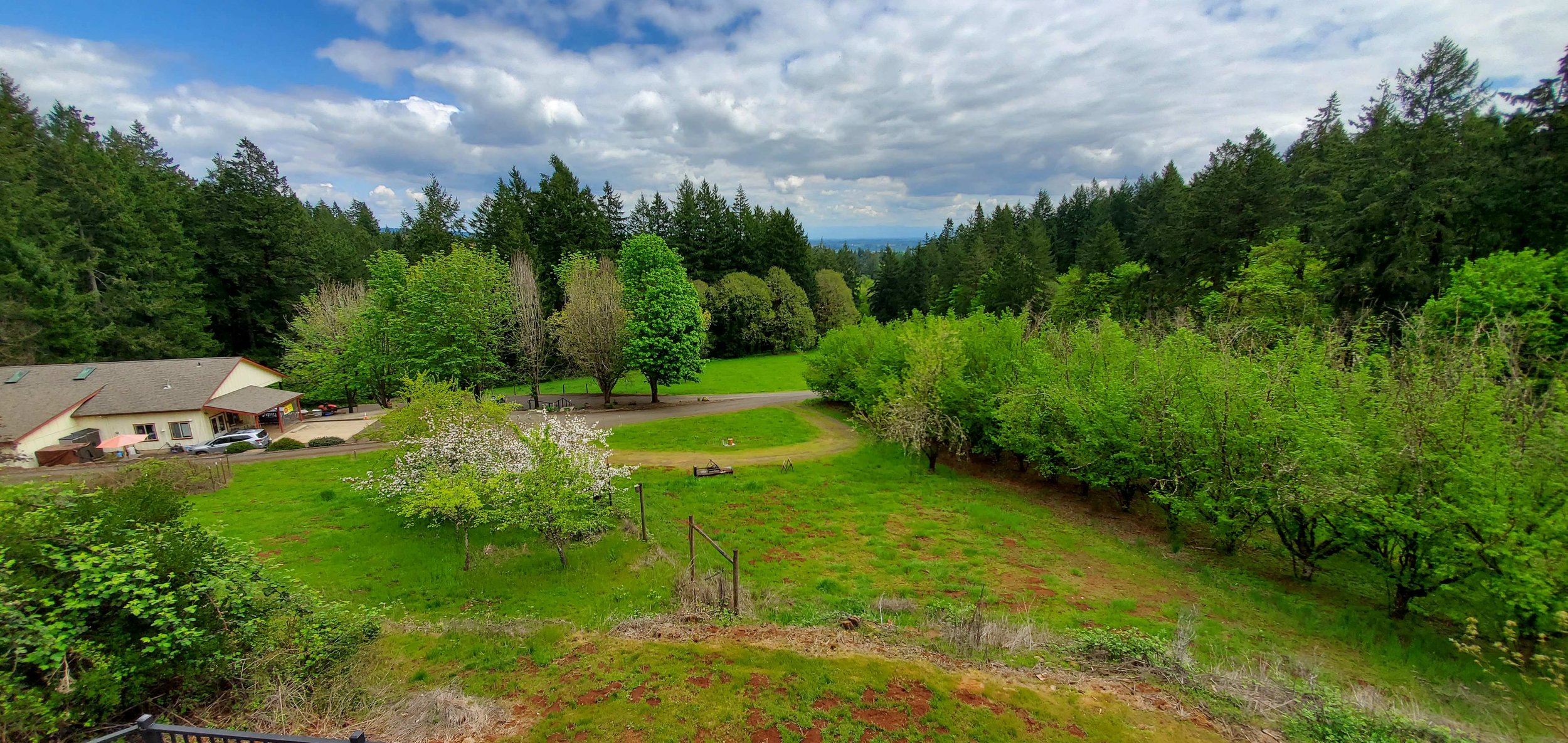 Dundee Oregon 10 View from house.jpg