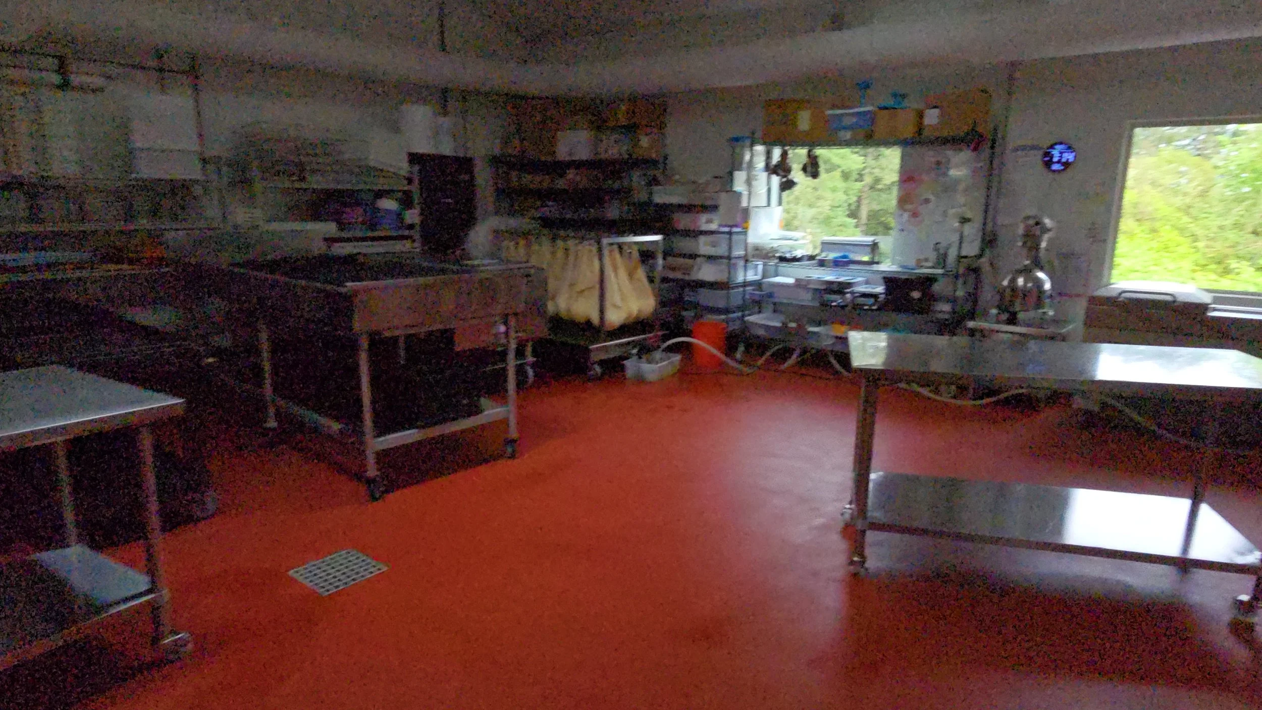 20260421_191507.jpg