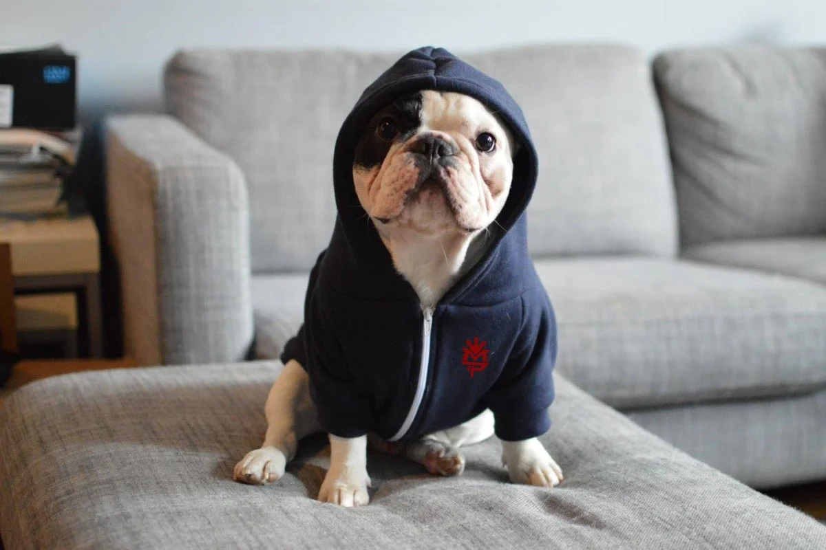 manny-frenchy-tour.jpg