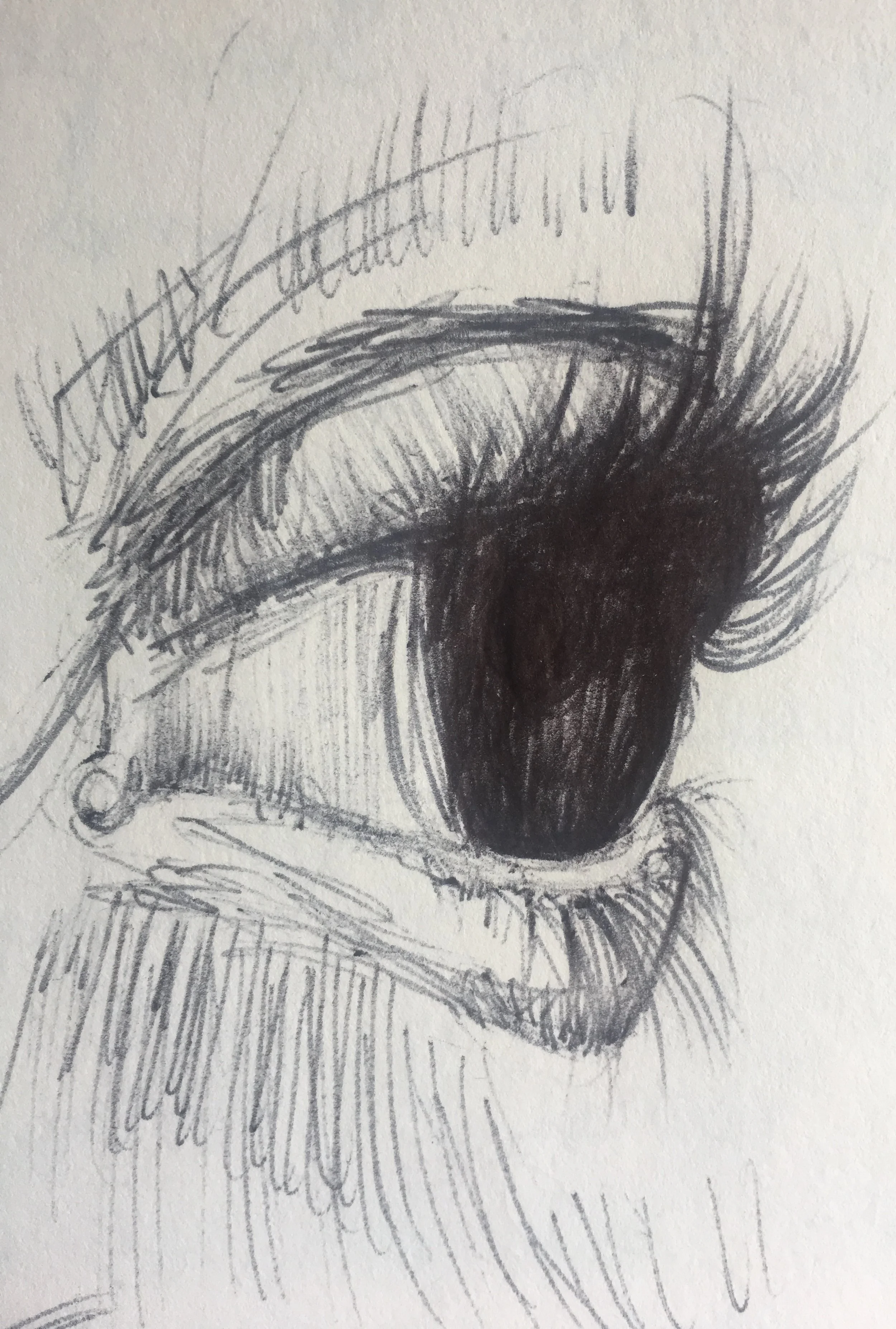 Eye Study by Jamie Winter Dawson, Ink on Paper