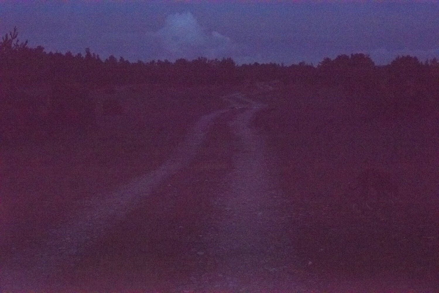    Purple road  , Florence Montmare (2014) 