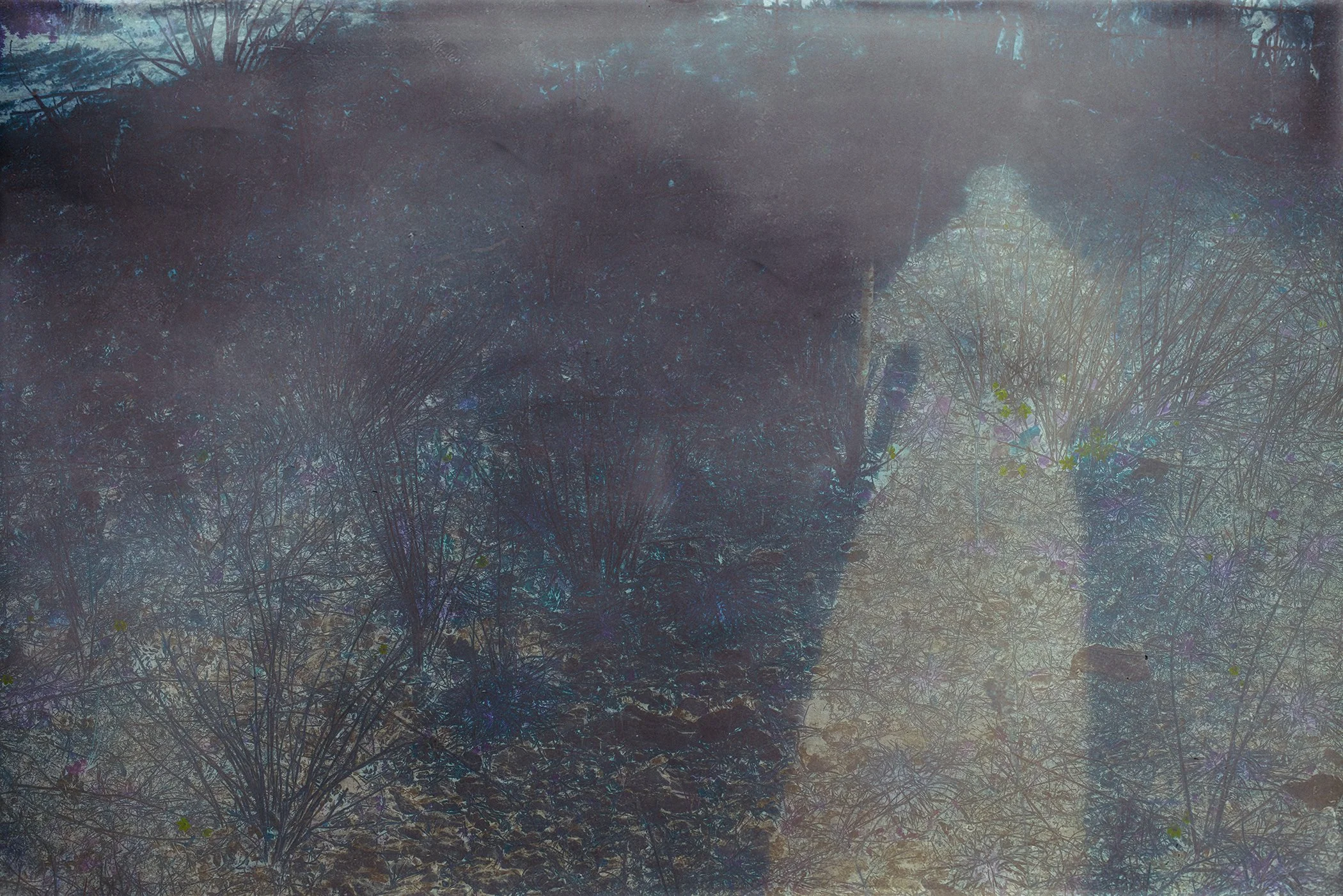 © Florence-Montmare-Imprint.jpg