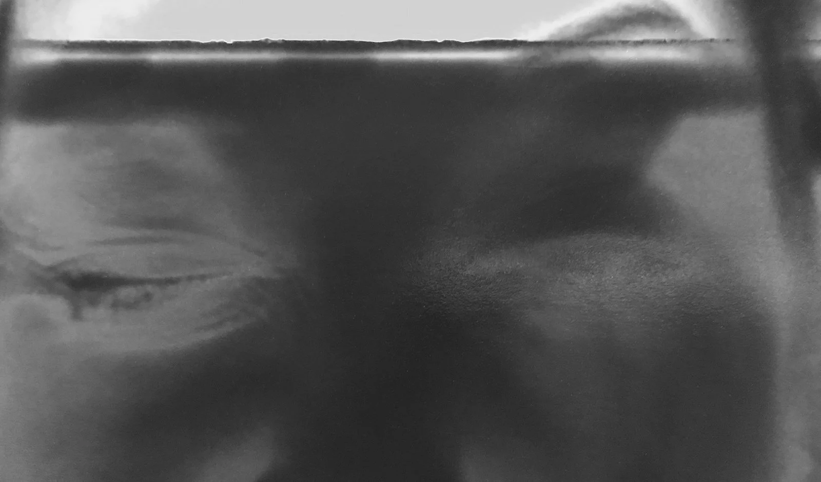 © Florence-Montmare-Solarized-Gaze.jpg