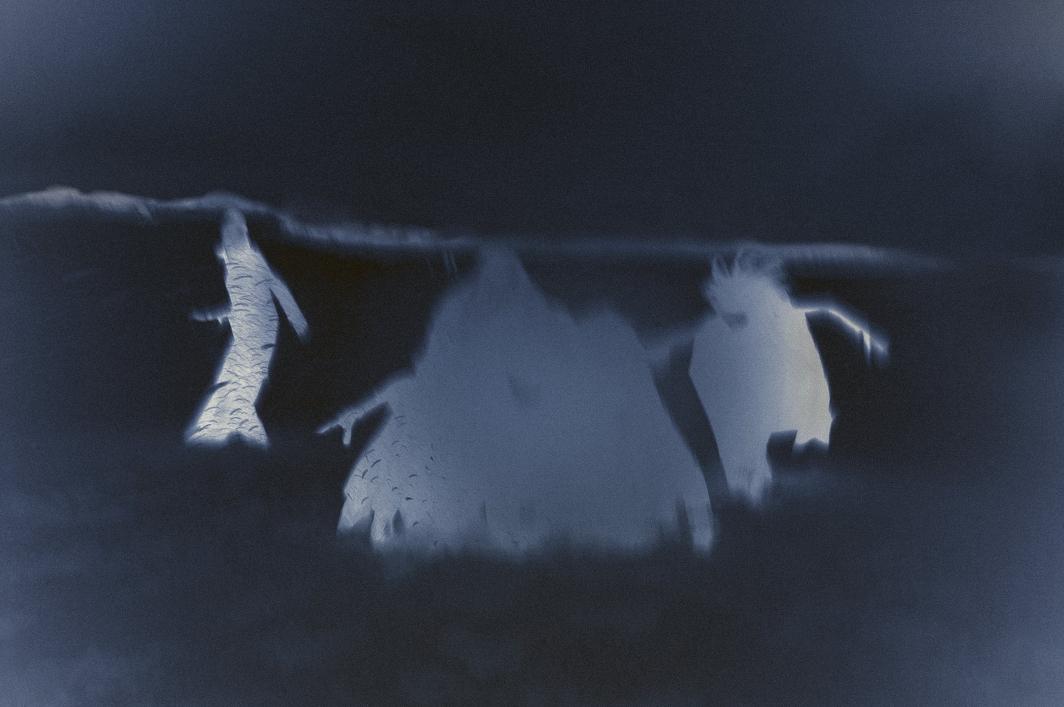 © Florence-Montmare-Synchronicities-Harpies.jpg