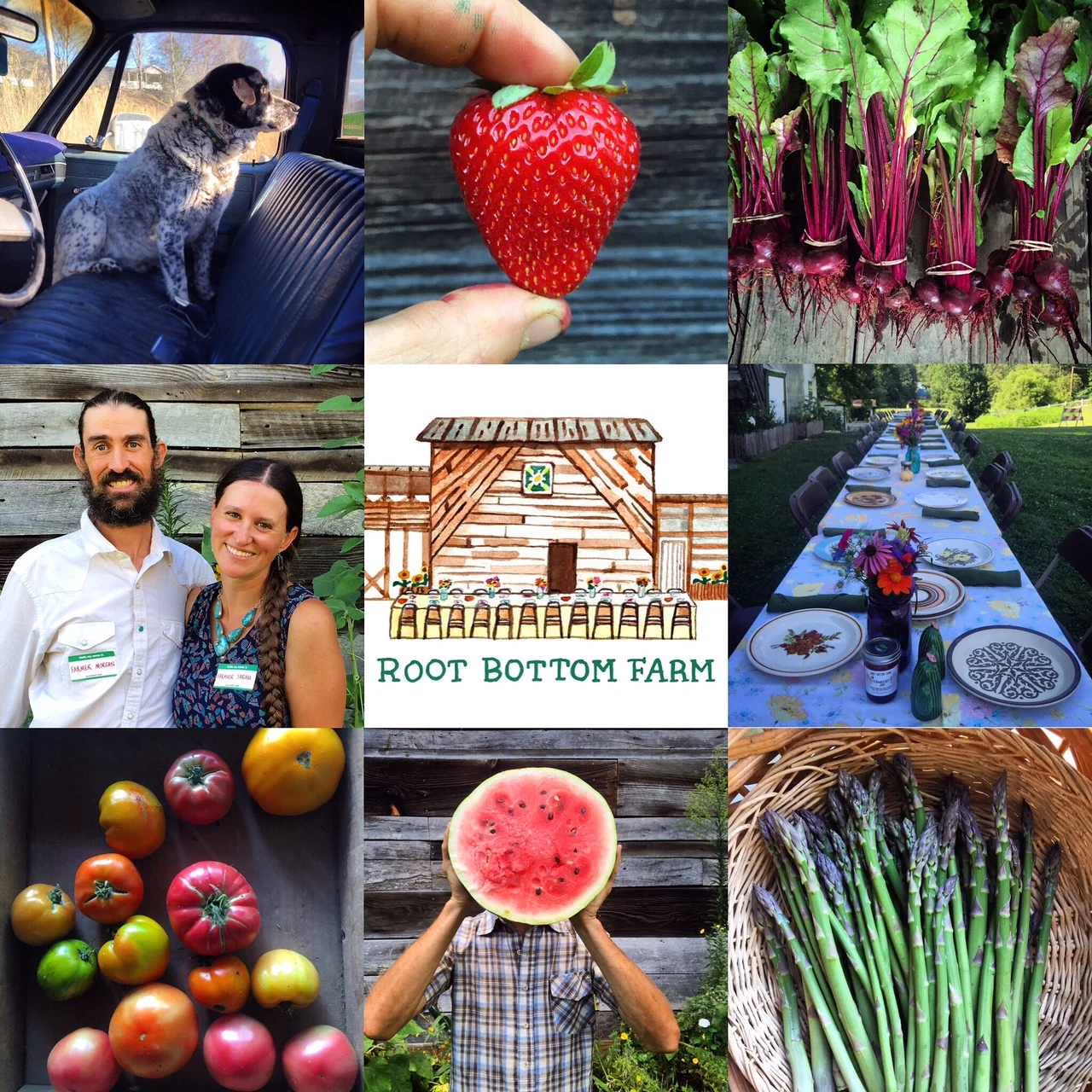 A huge heart felt THANK YOU to everyone that makes this farm life a dream come true. Hope to see y'all in 2017. Check out our year in review at : http://rootbottom.blogspot.com/2016/12/2016-year-in-review-root-bottom-farms.html